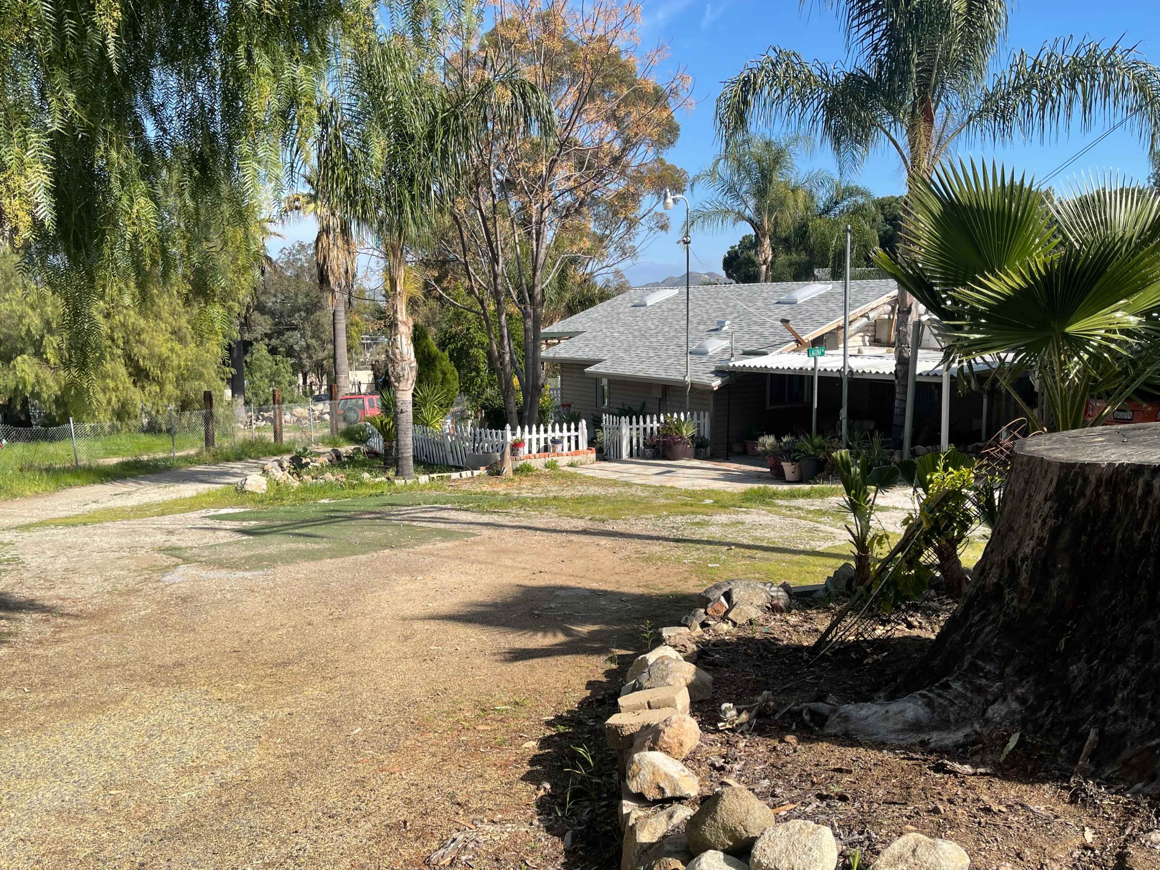The image shows a driveway leading to a house surrounded by palm trees and a large, cut tree stump.