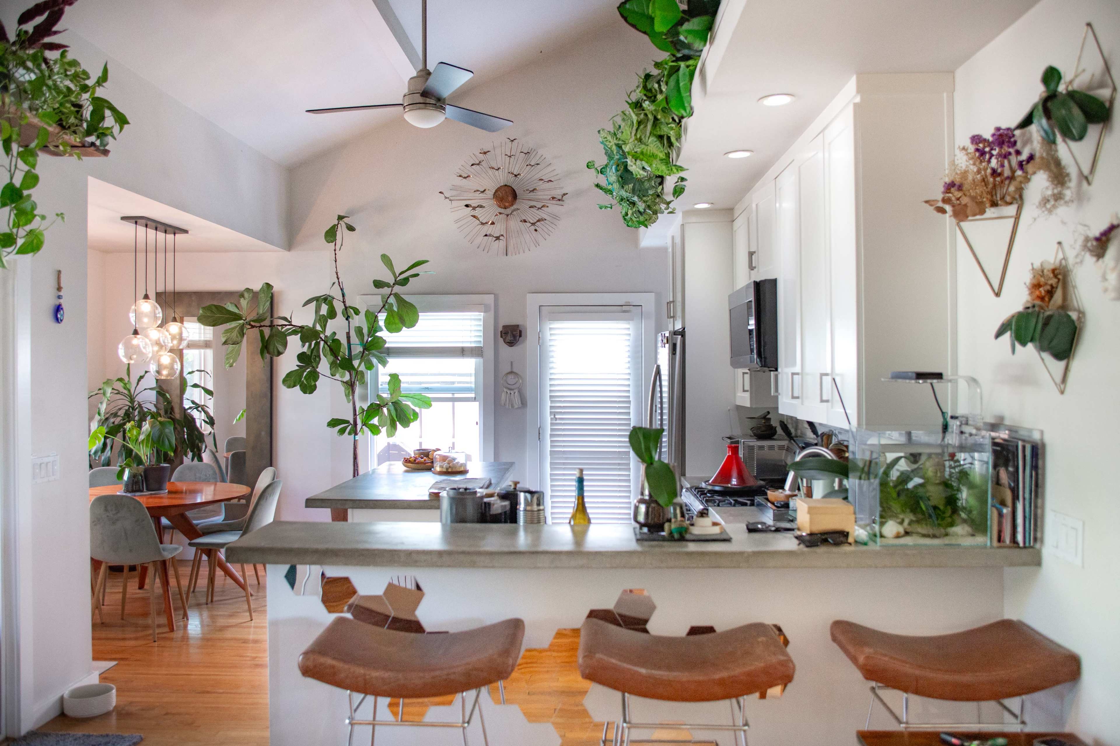 Aesthetic house with private deck and plant filled garden. Image in City Heights, San Diego, CA