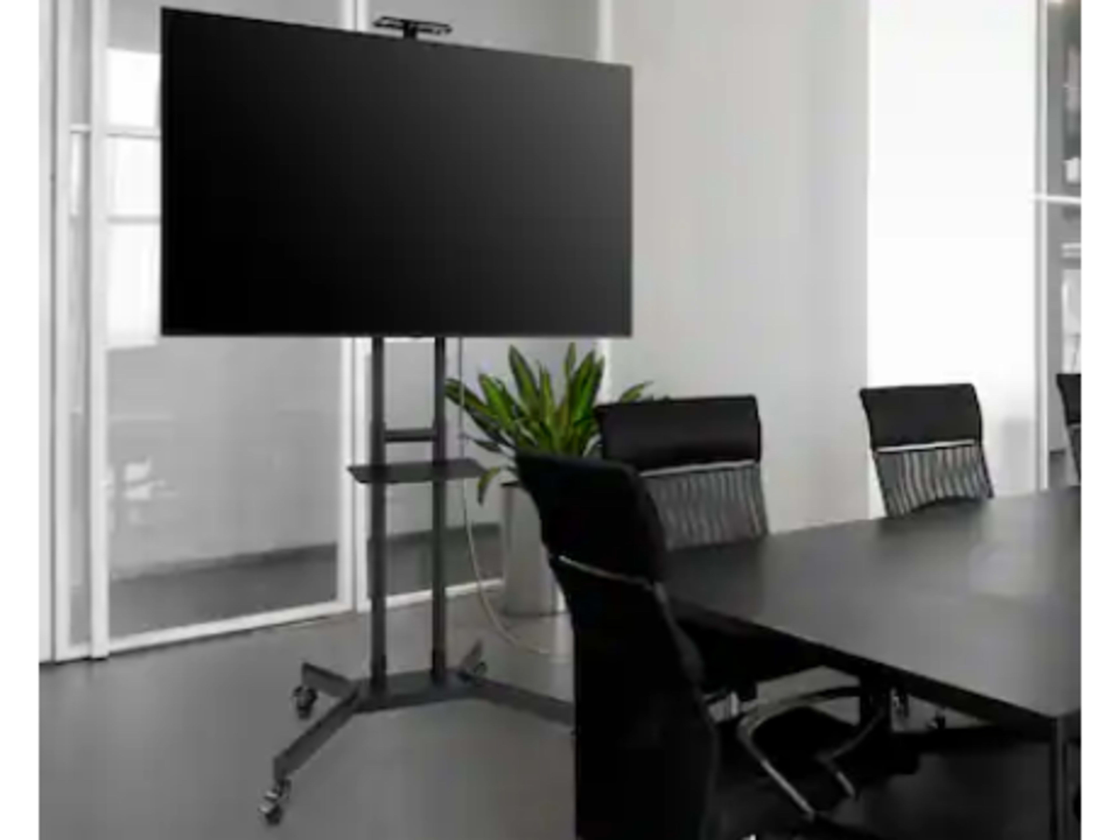 TV with Rolling Stand 