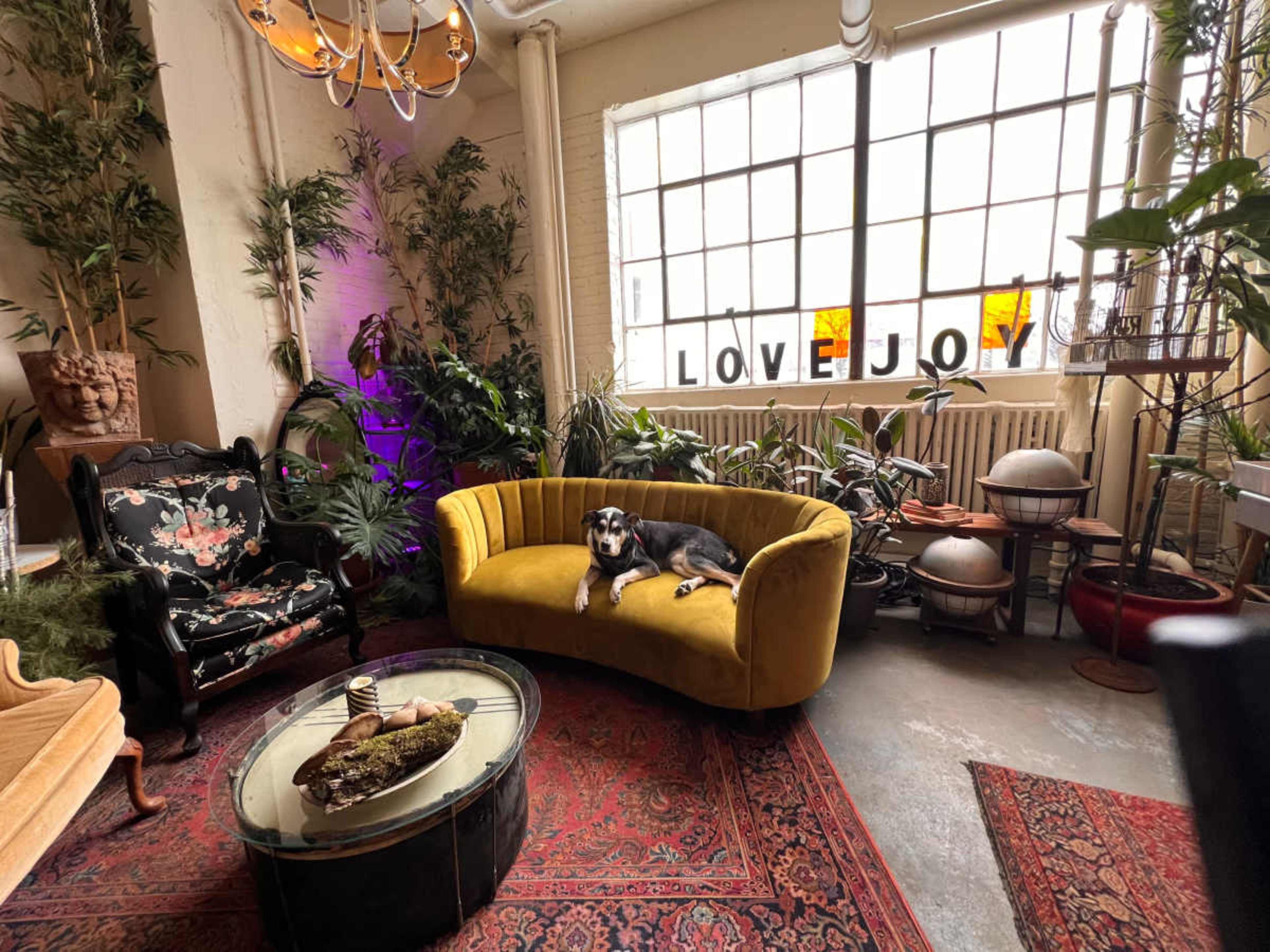 A cozy room features a yellow curved sofa, a black and floral chair, a coffee table with decorative items, and a large window displaying the words "LOVE" and "JOY."