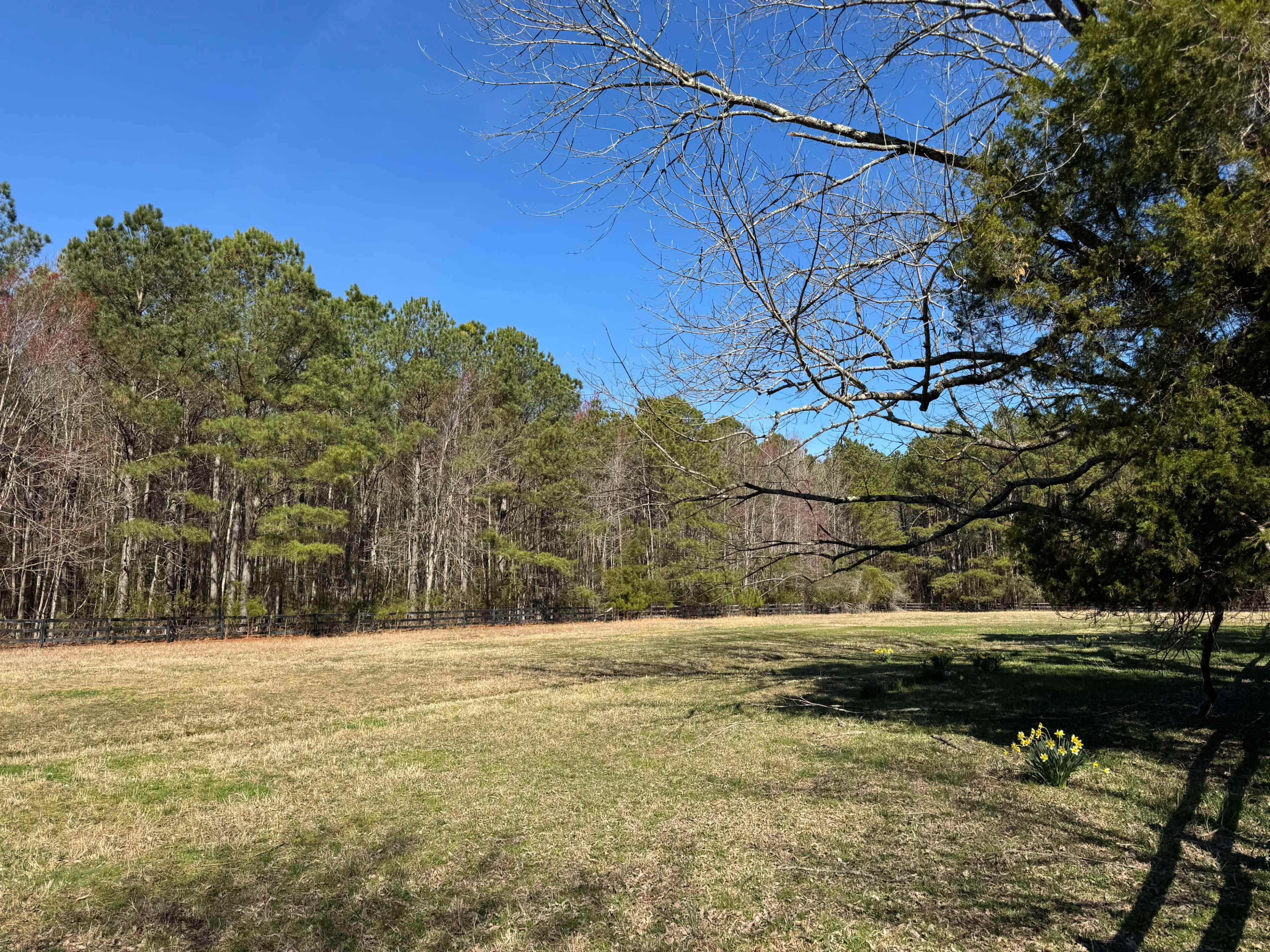 Working Farm with Goats Image in , Hayes, VA