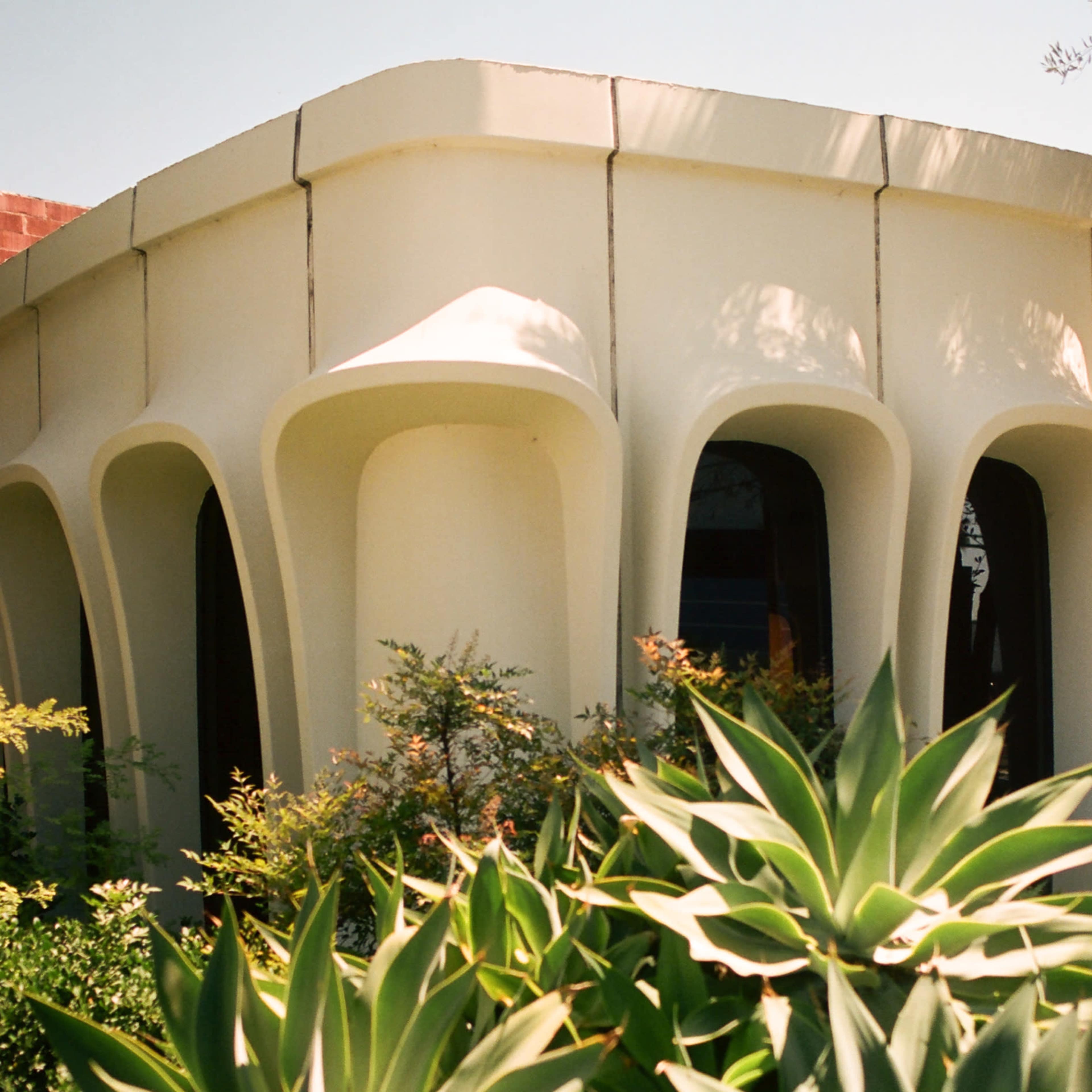The image shows a modern building corner supported by curved columns, surrounded by green plants.