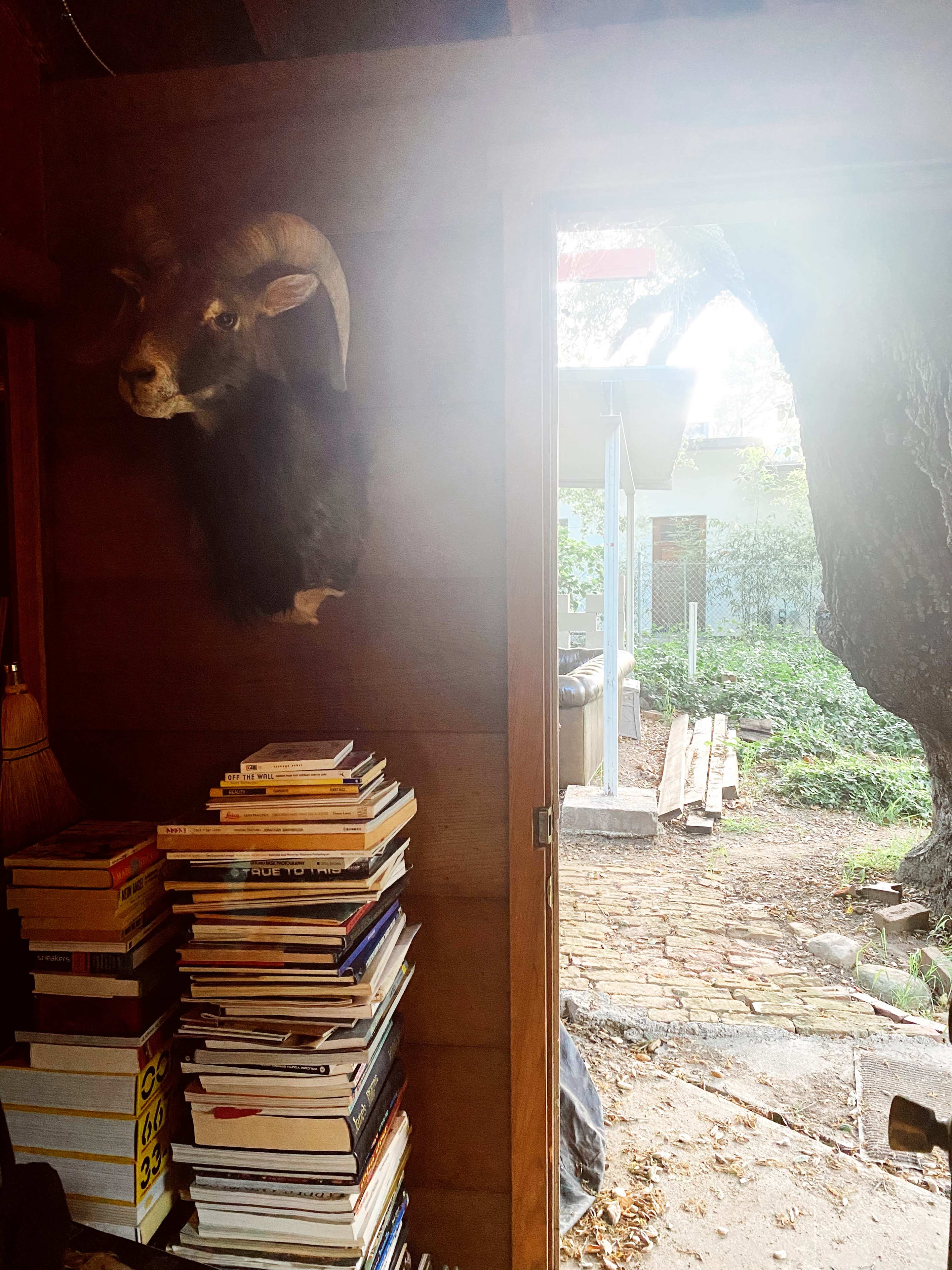 A taxidermy mount of a ram is displayed on the wall beside a stack of books, with an open door revealing a stone pathway leading outside.