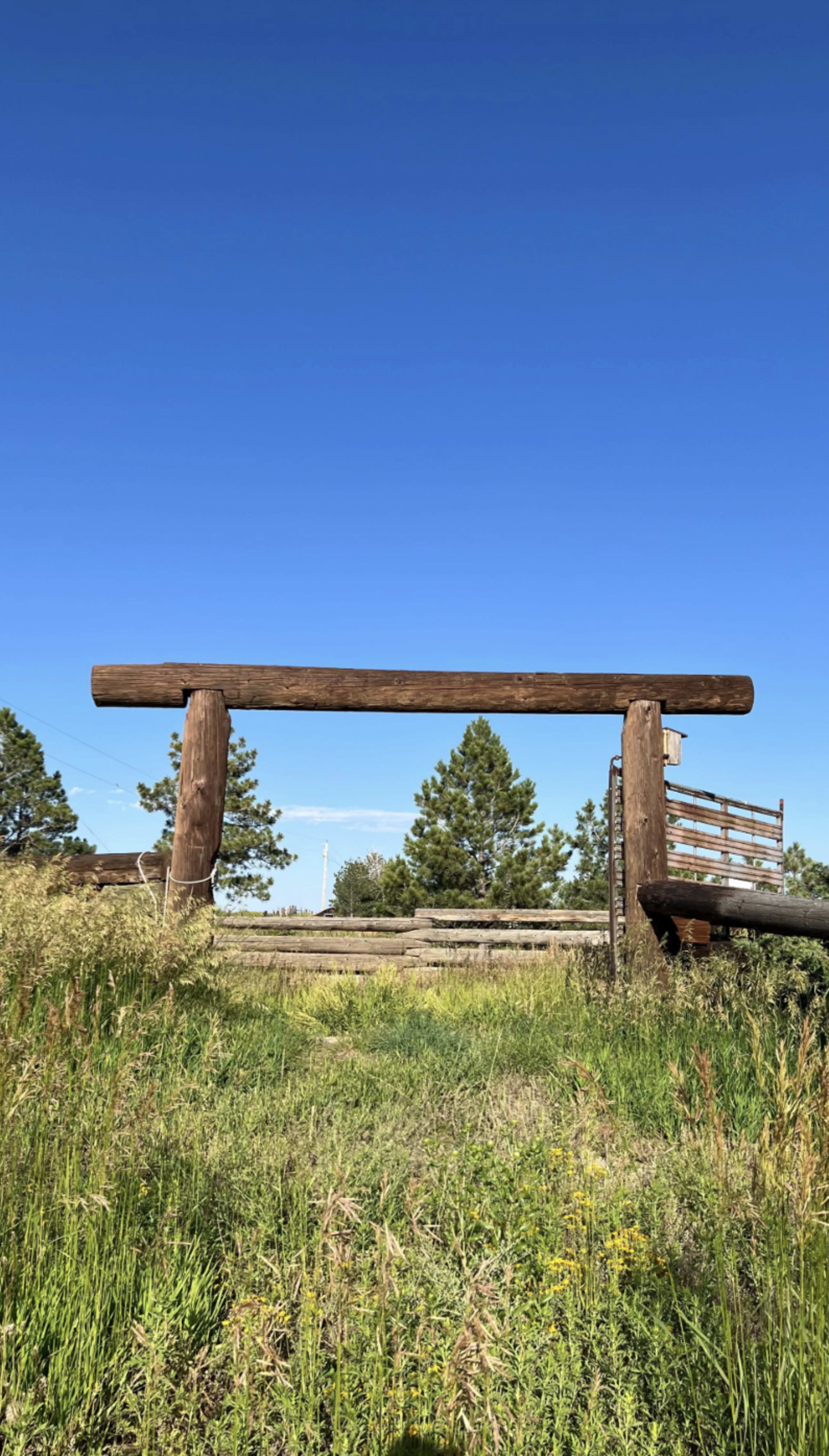 NEW LISTING - Wildflowers and Fields just 12 minutes from Downtown Parker Colorado Image in , Parker, CO