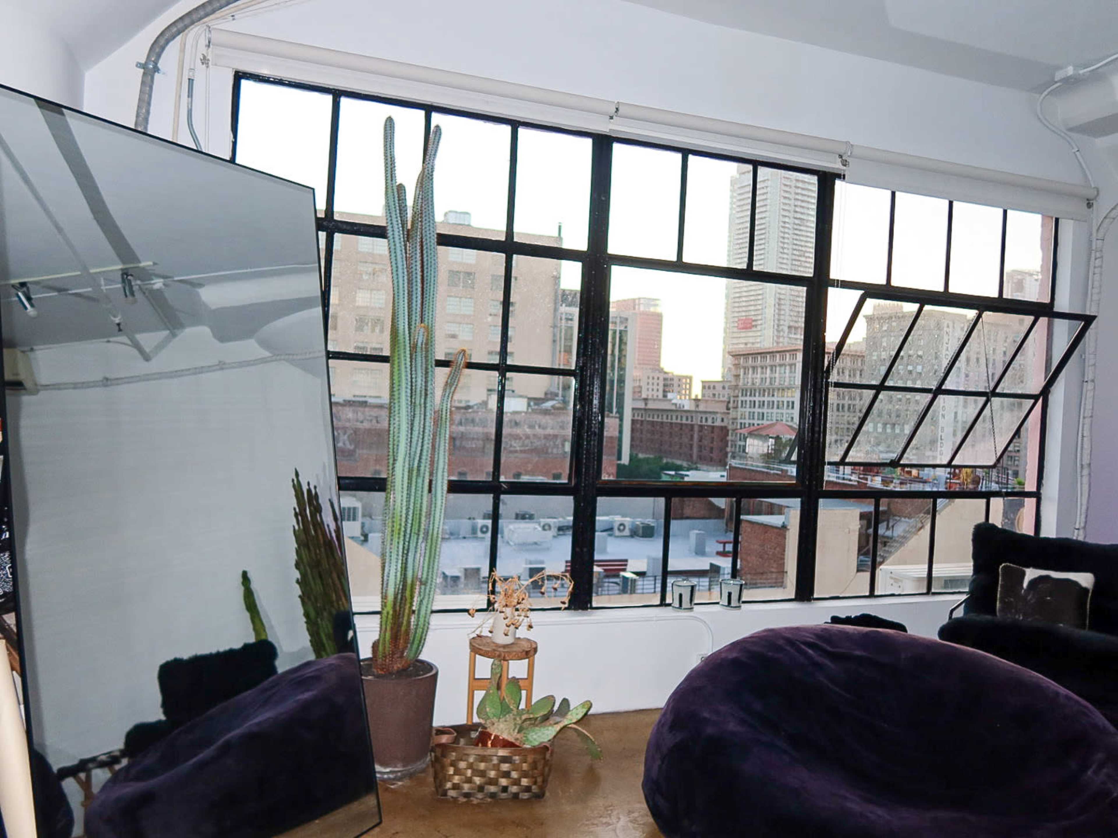 The image shows a modern living space featuring a large window with a view of a cityscape, a cactus plant beside the window, and a large mirror reflecting the interior.