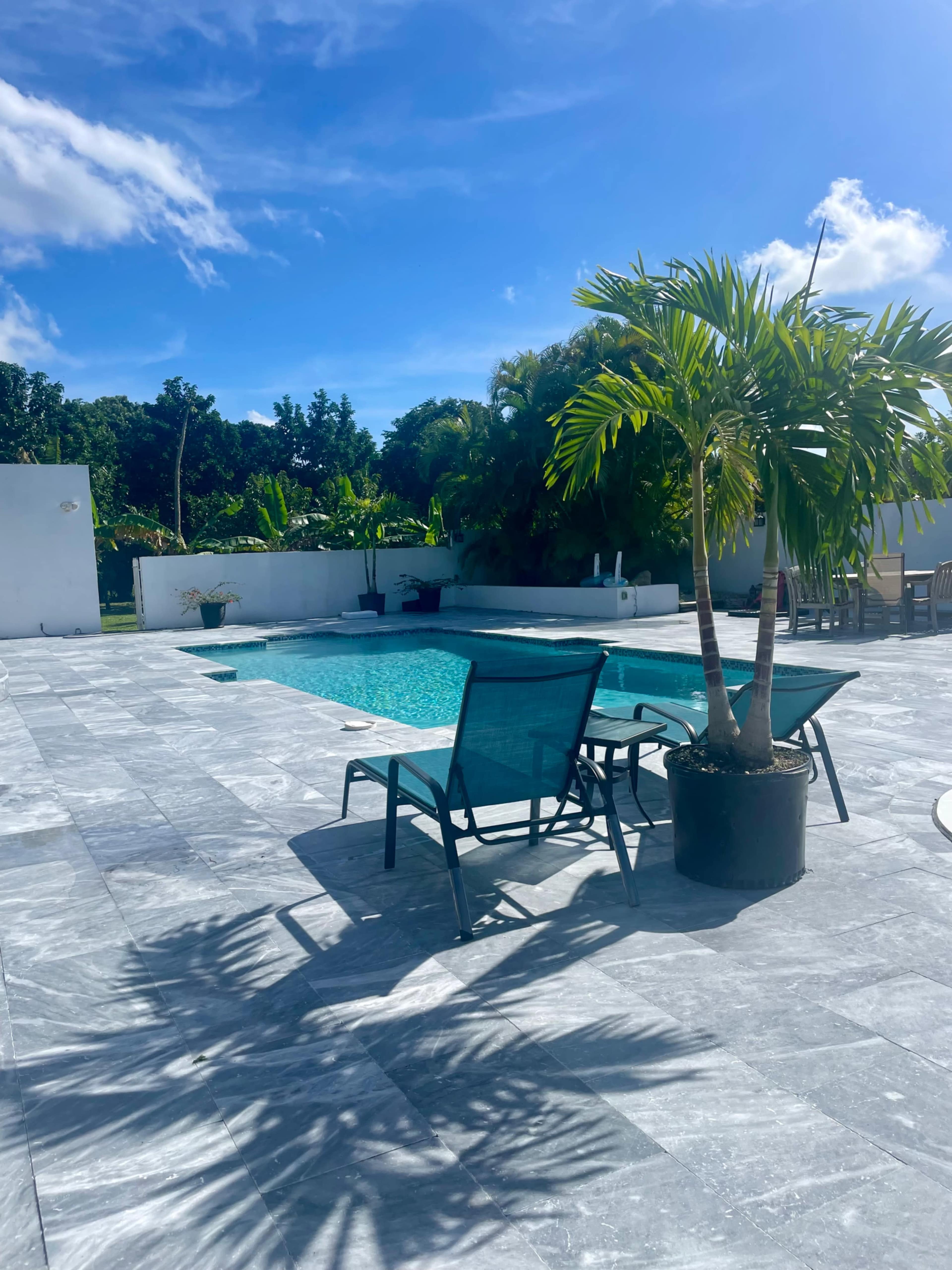 A rectangular swimming pool is surrounded by gray stone tiles and two lounge chairs, with a palm tree casting a shadow nearby.