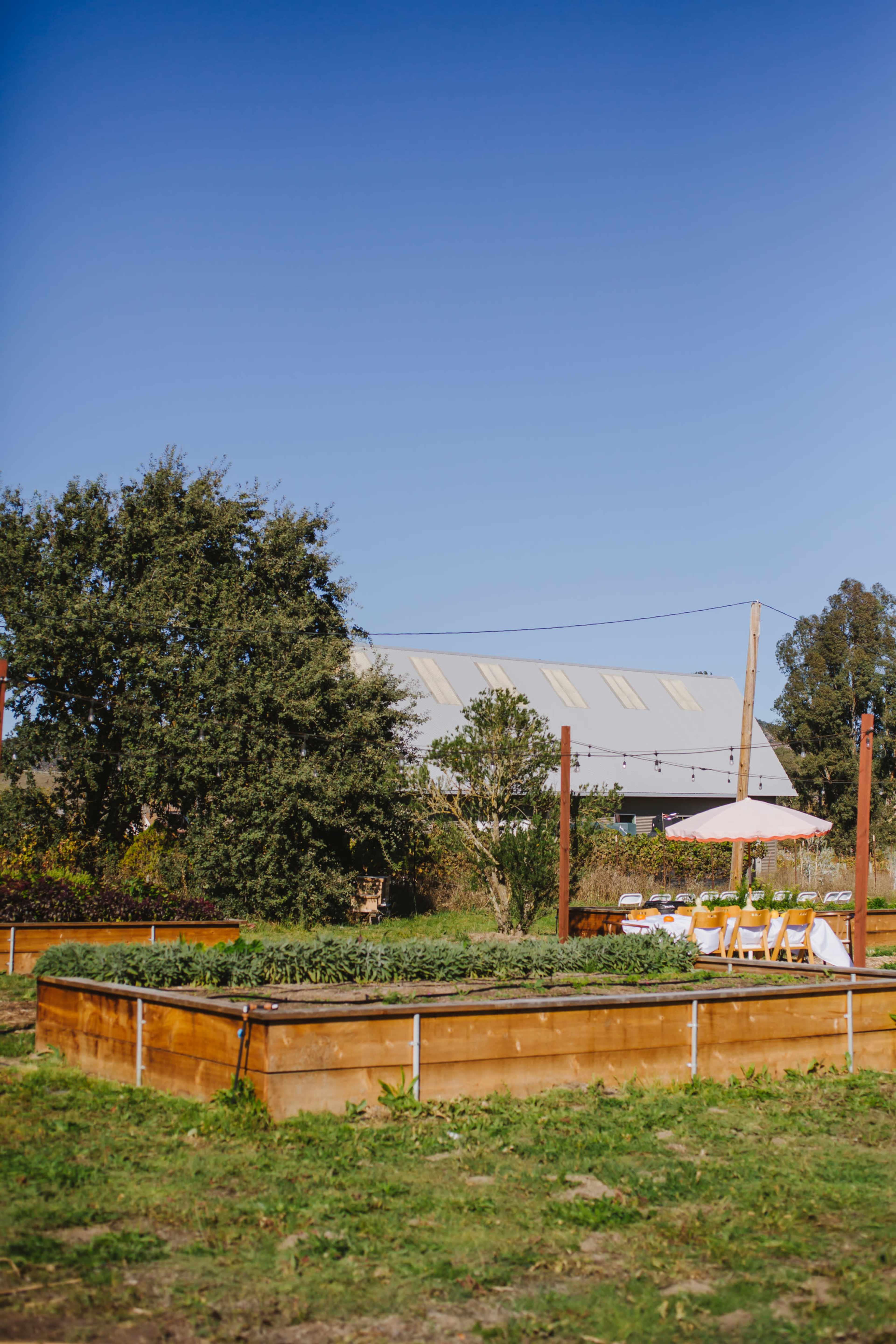 A raised garden bed surrounded by greenery, with a patio area featuring chairs and an umbrella in the background.