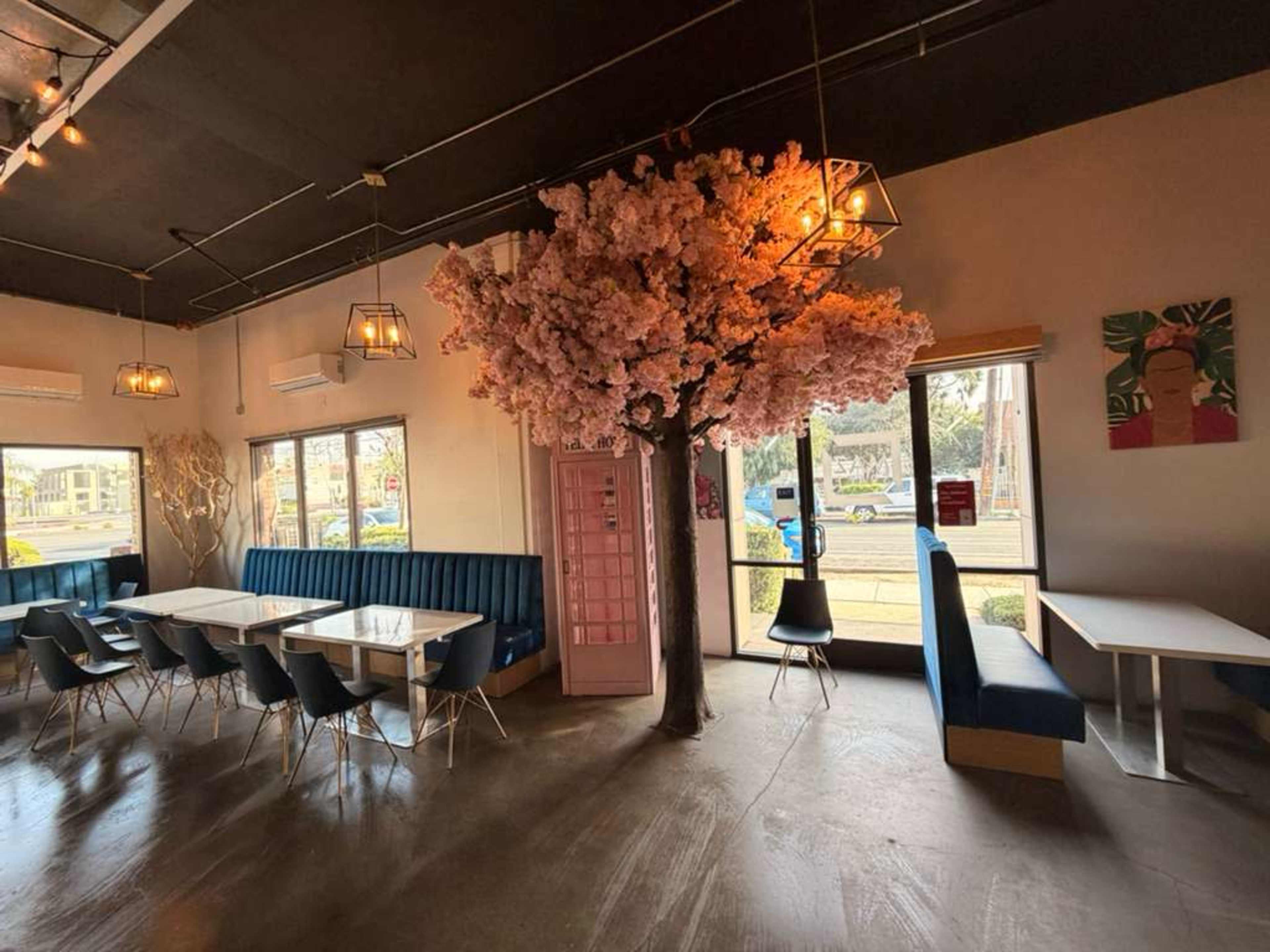 The scene shows a modern restaurant interior featuring a pink cherry blossom tree, blue booth seating, and large windows allowing natural light.
