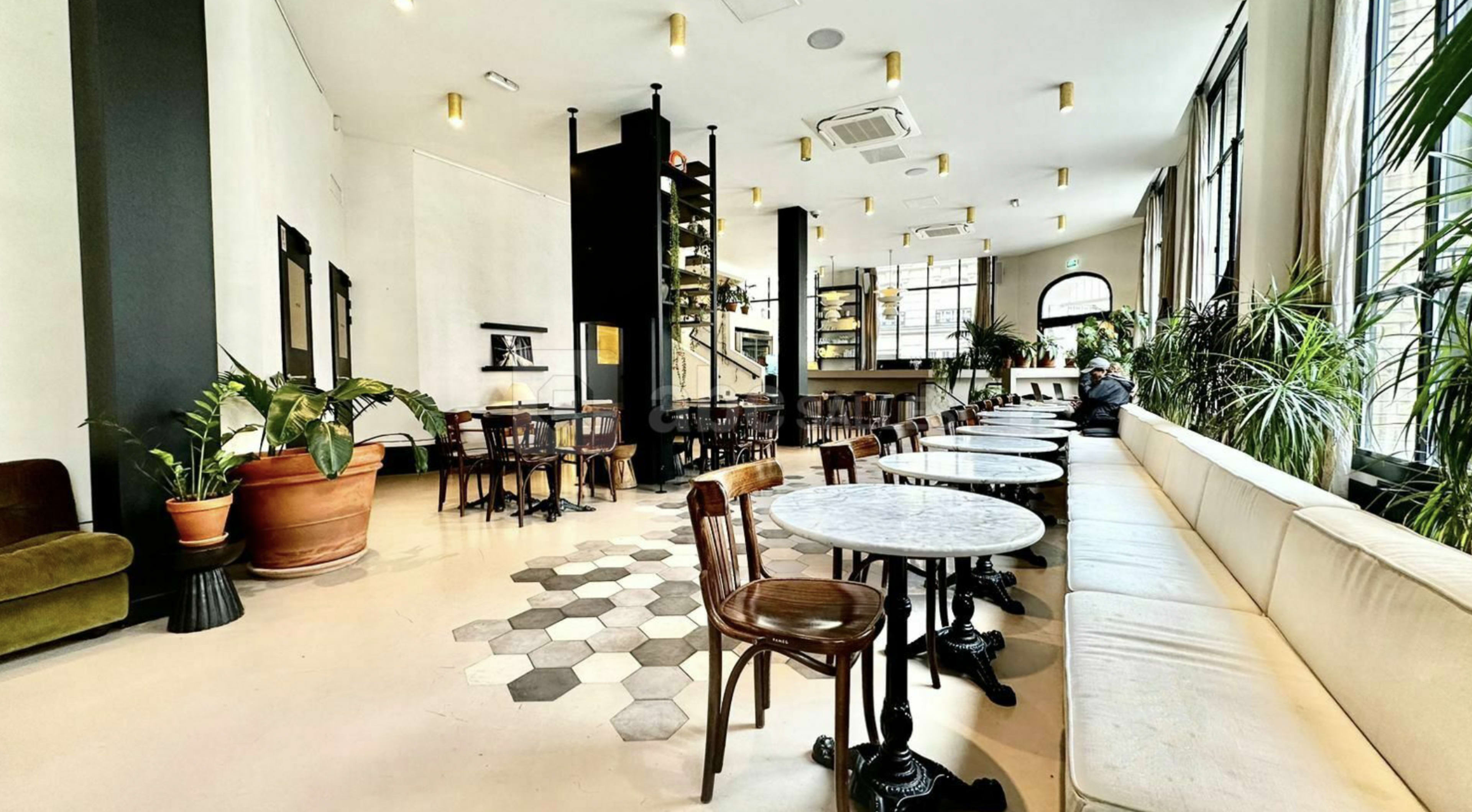 The image shows a spacious café interior with hexagonal tile flooring, wooden tables, and a seating area lined with a white bench under large windows, surrounded by plants.