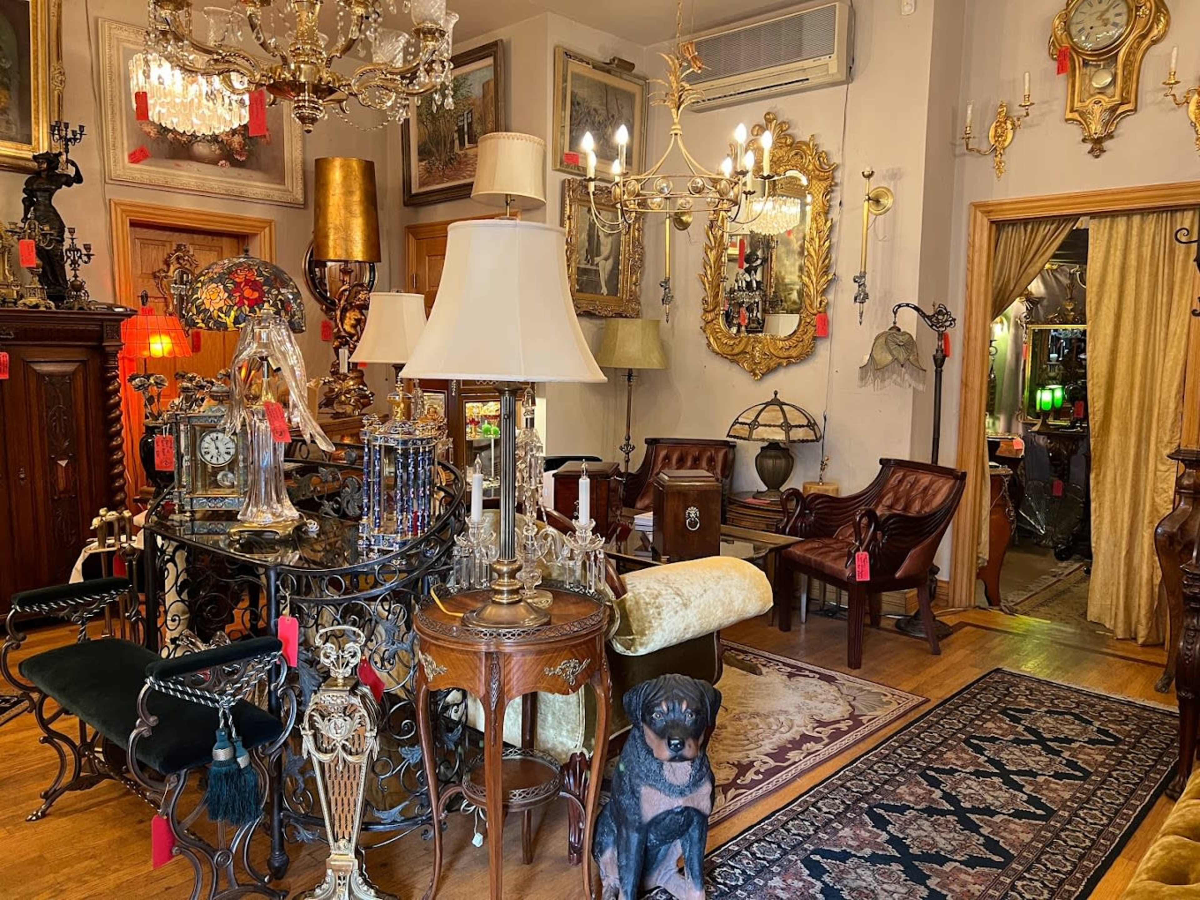 Vintage Dark Academia Space in Chicago! Image in Irving Park, Chicago, IL