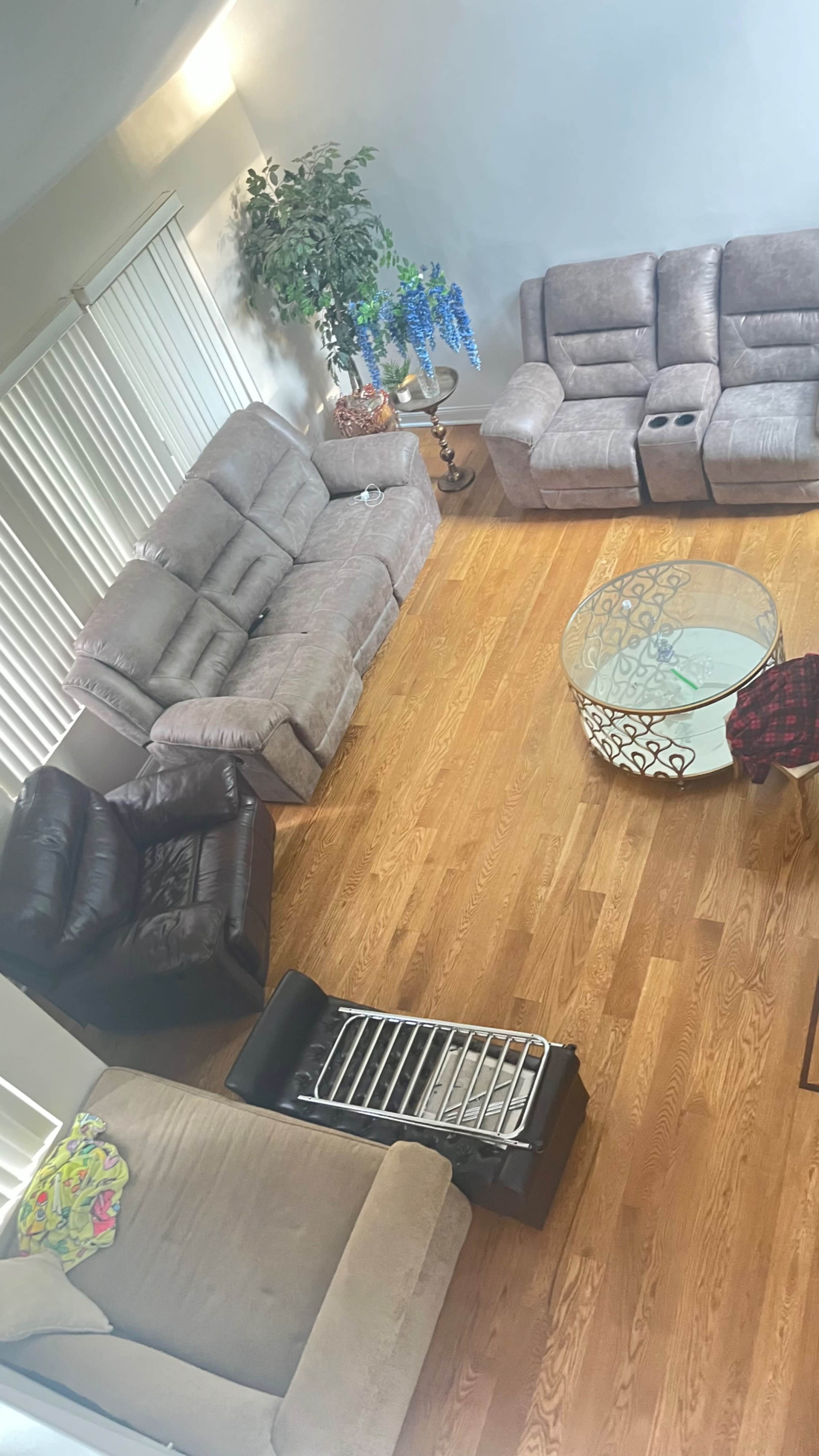 Minimalistic large comfy living room space Image in Huntington, Huntington, NY