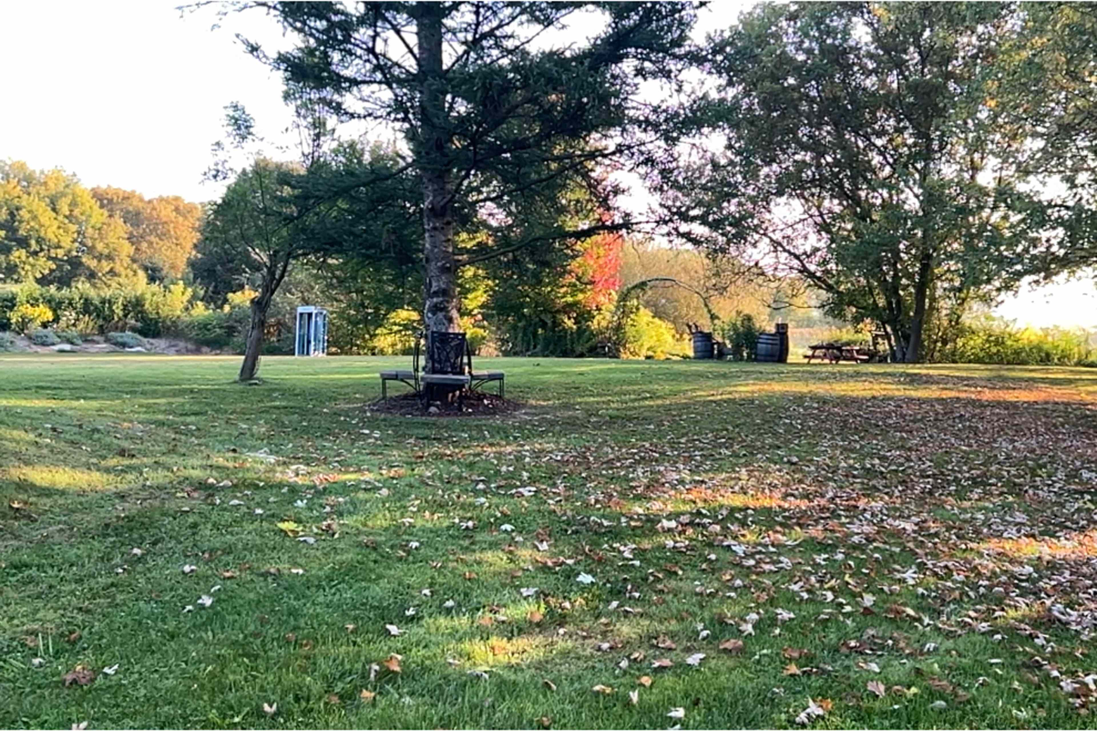 A grassy park area features a large tree and a bench, with a telephone booth and picnic tables visible in the background.