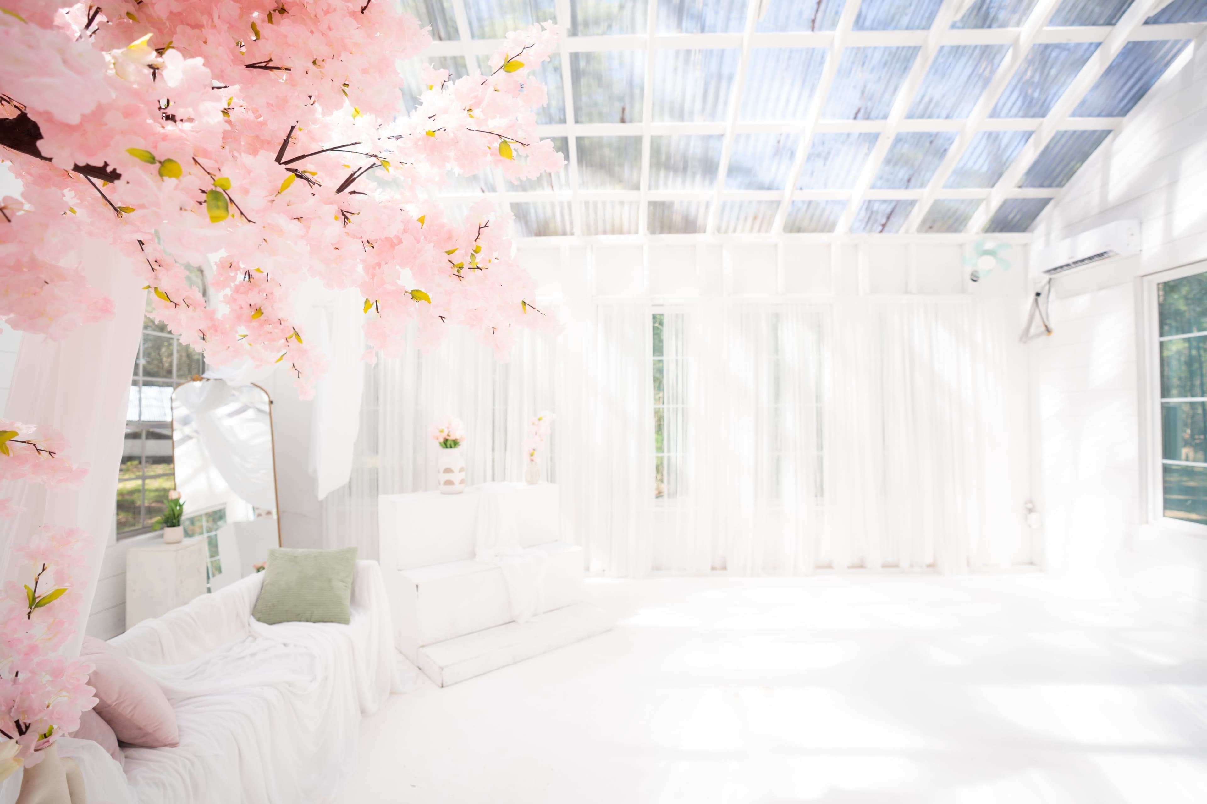 The image shows a bright, airy room with white walls and a glass ceiling, featuring a large pink cherry blossom tree on one side and a minimalist white seating area.