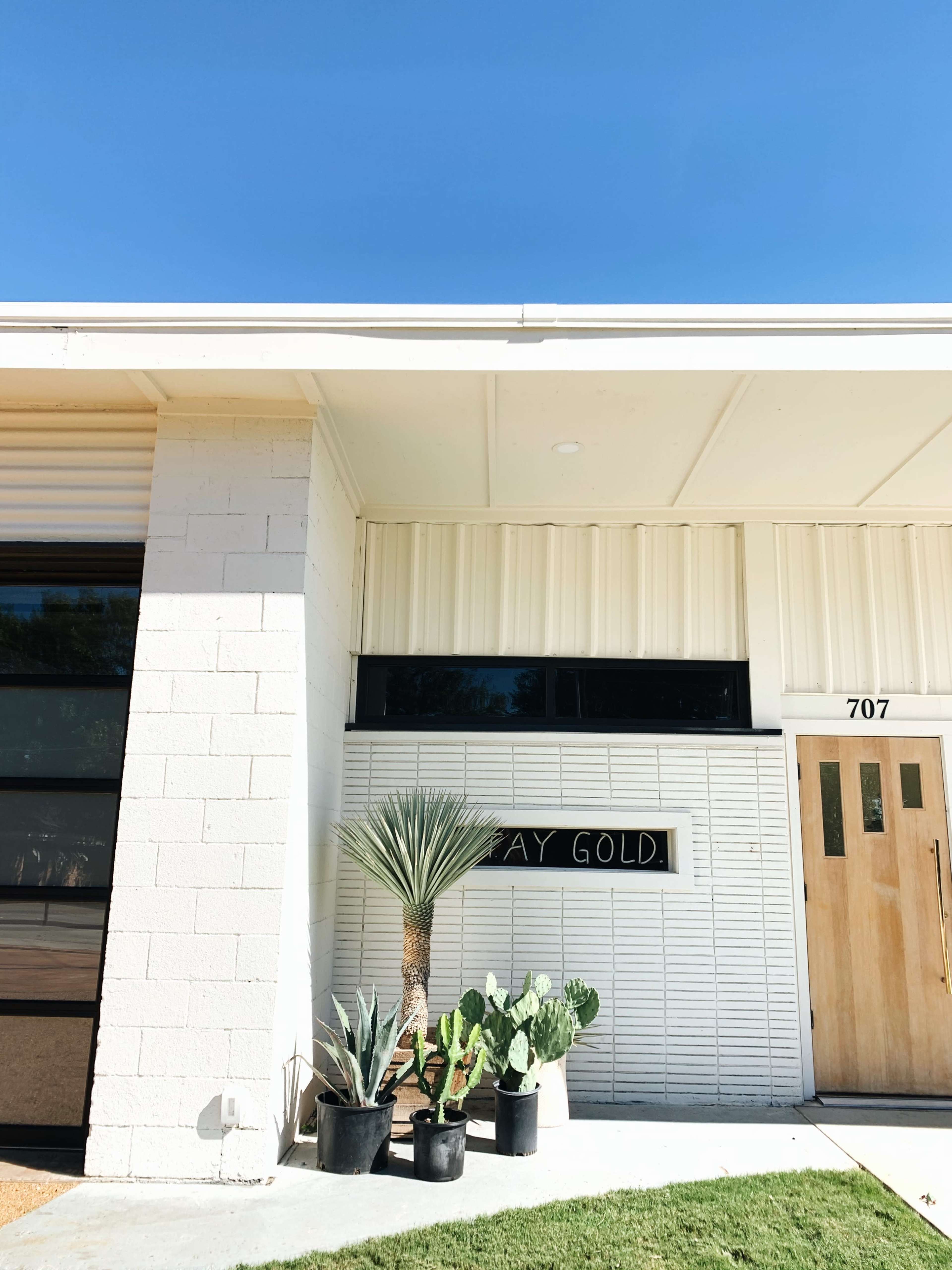 A modern building facade with a wooden door, a large window, and potted plants like cacti and a palm in front of it.