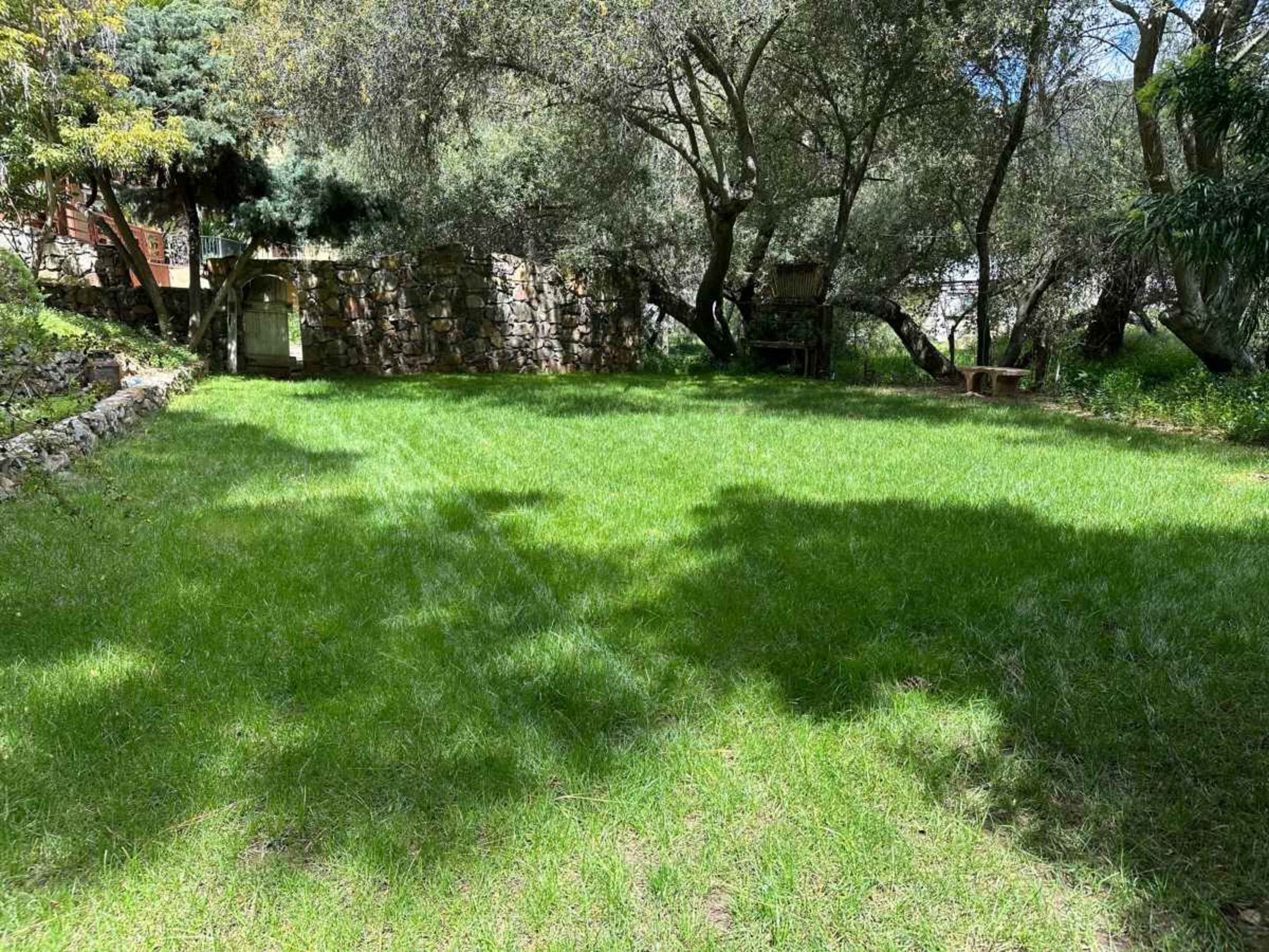 A green lawn surrounded by trees and a stone wall creates an open outdoor space.