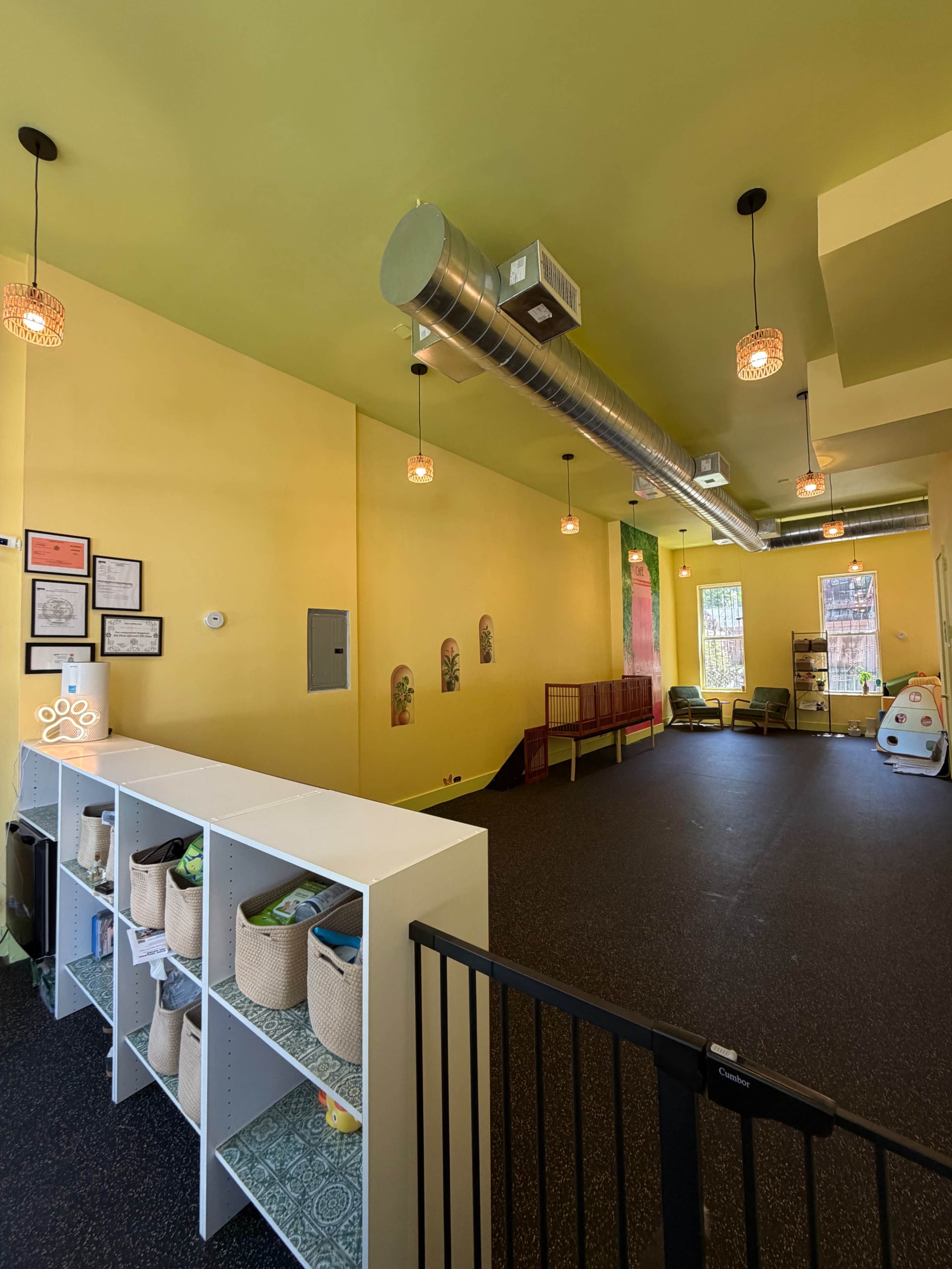 The image shows a brightly colored, yellow-walled interior of a pet facility featuring a check-in area with shelving, a gated entrance, and a seating area with chairs.