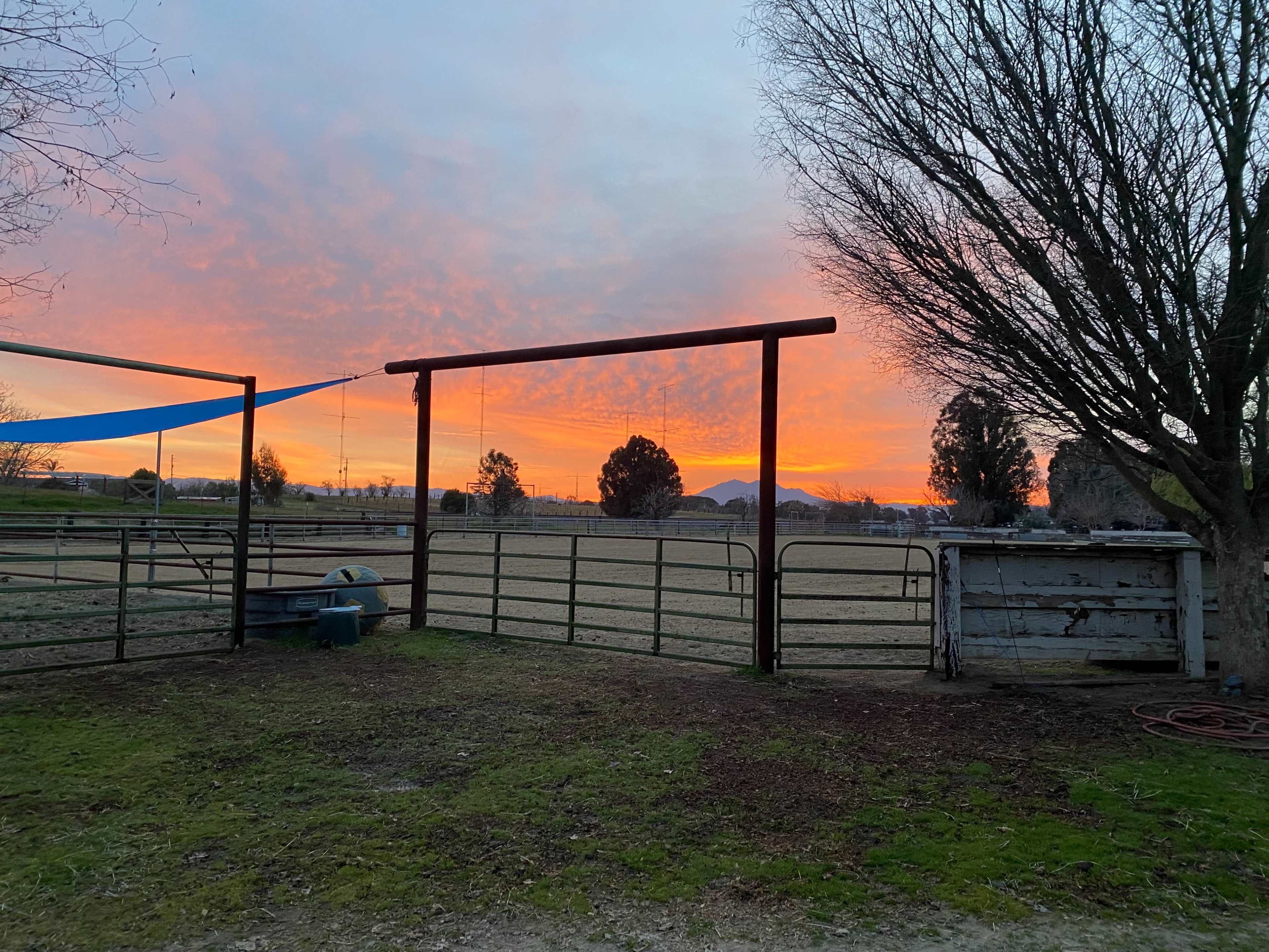 Family Horse Ranch Image in Knightsen, Knightsen, CA