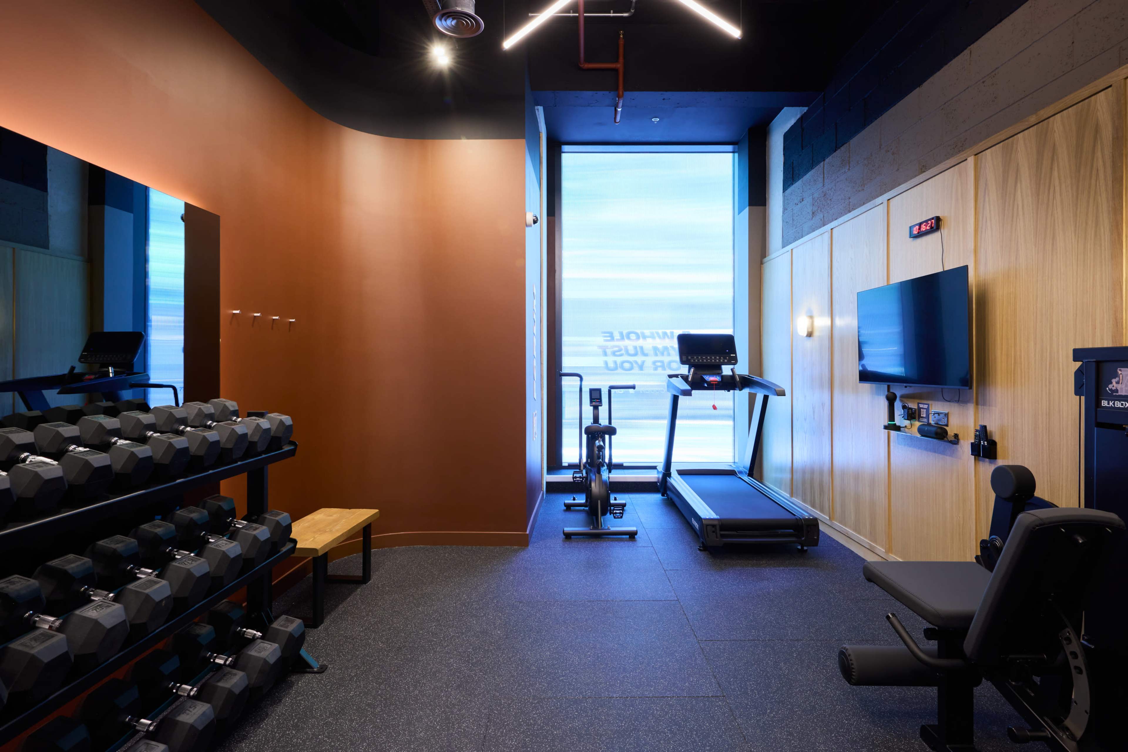 The image shows a modern gym space featuring a row of dumbbells, a bench, a treadmill, and a wall-mounted television.