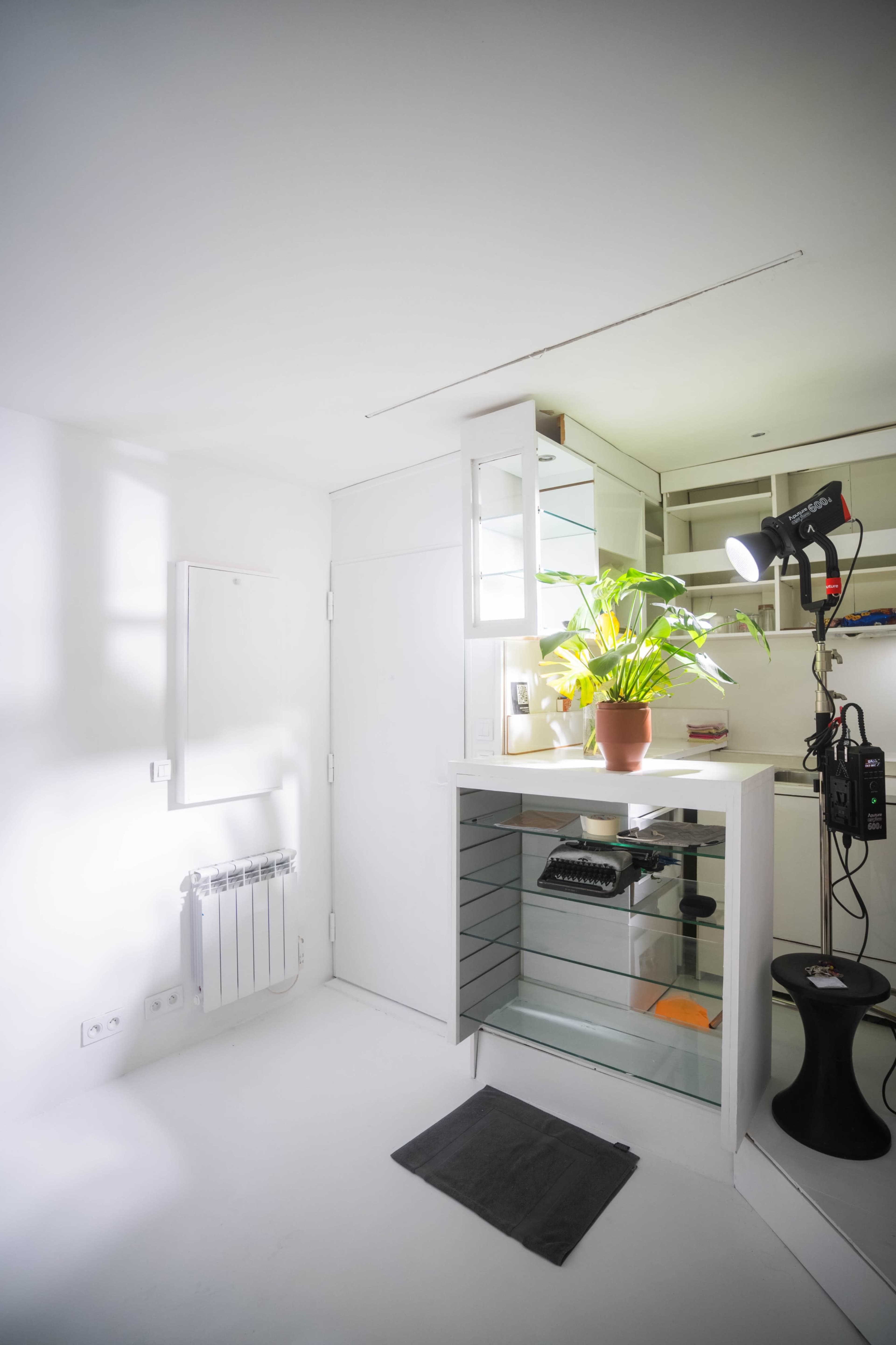The image shows a minimalist room with a potted plant on a glass counter, shelving units, and a desk lamp.