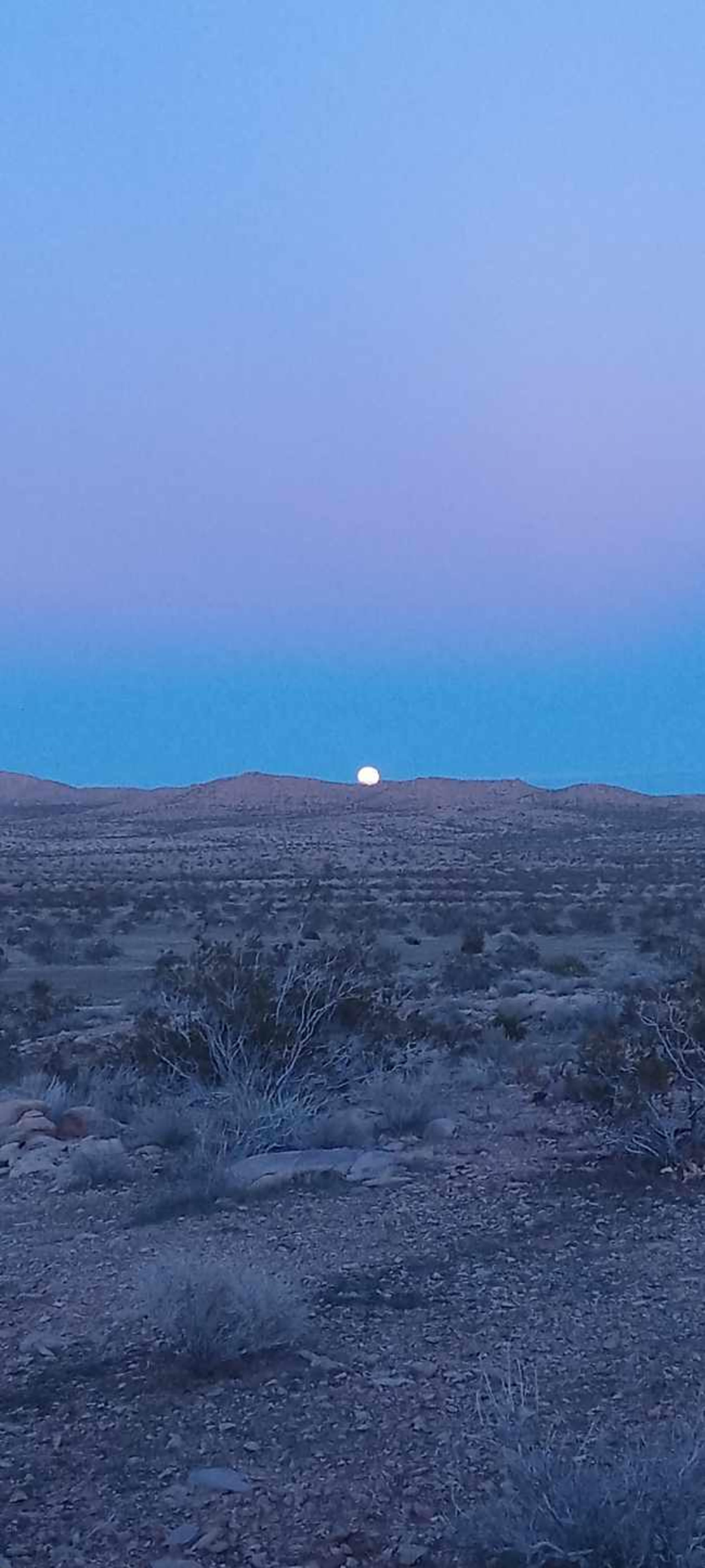 The image shows a large, pale moon rising over a barren desert landscape at dusk.