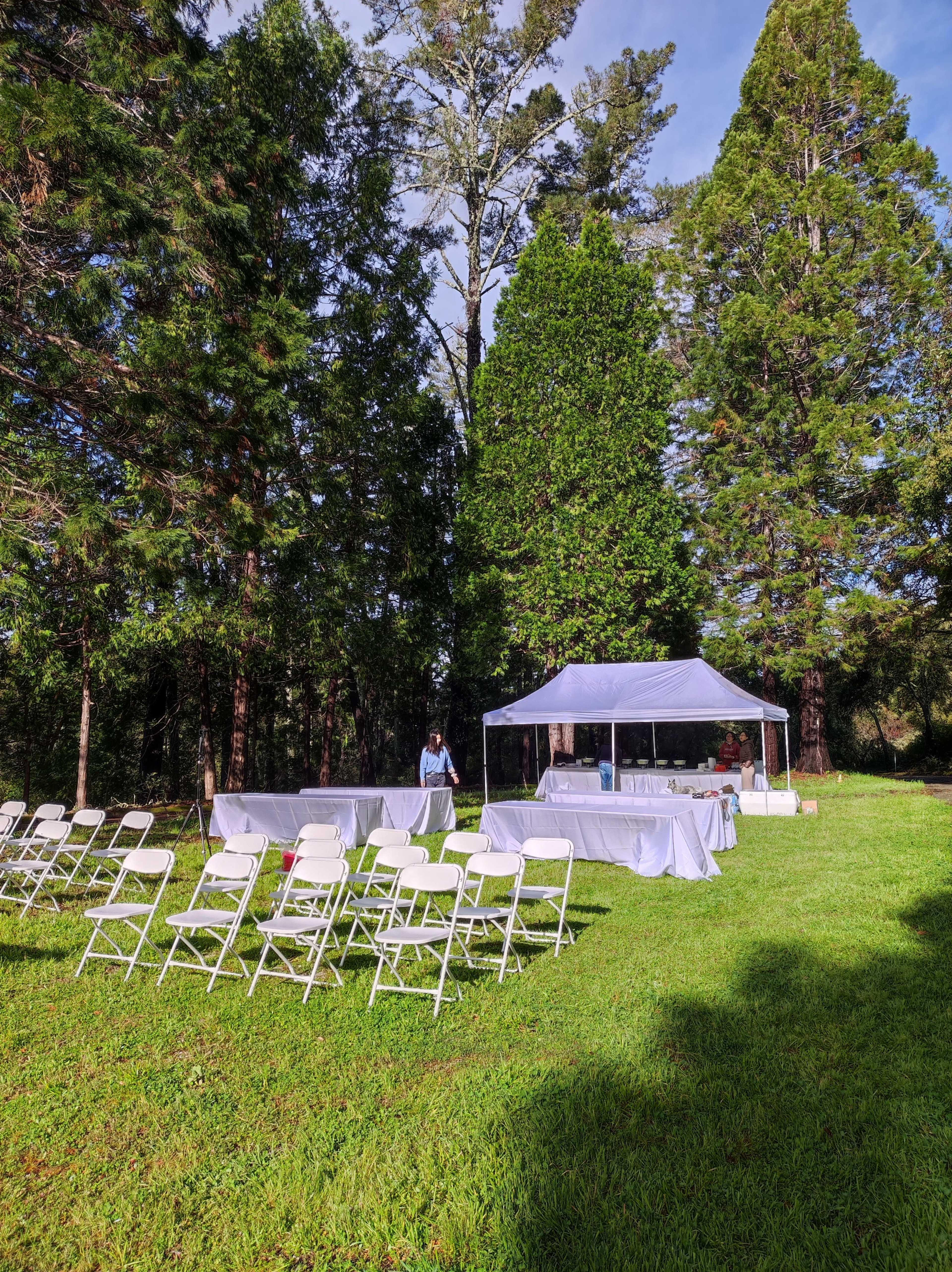A person prepares a white tent and folding chairs set up on a grassy area surrounded by tall trees.