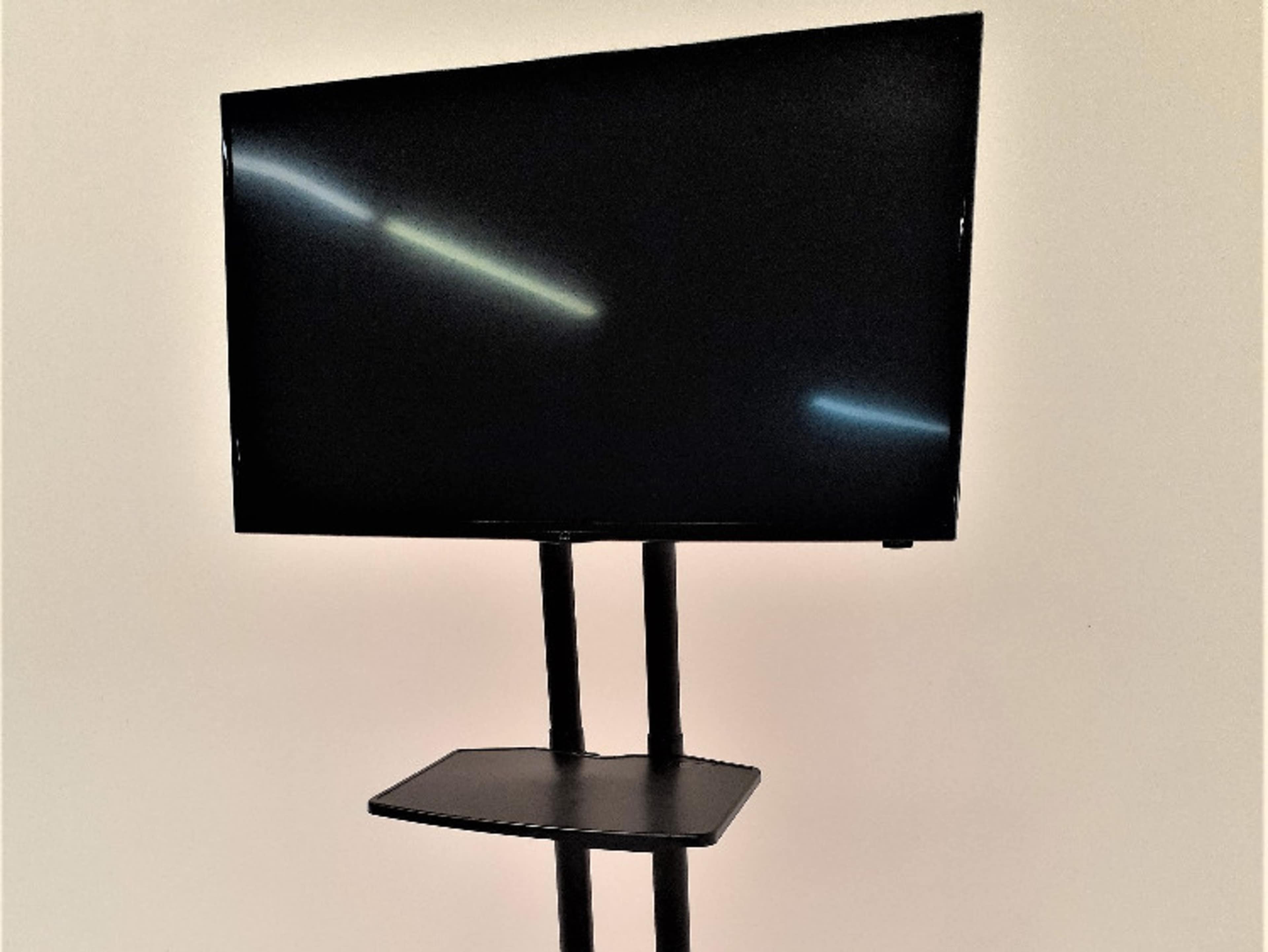 Flat Screen TV/Monitor