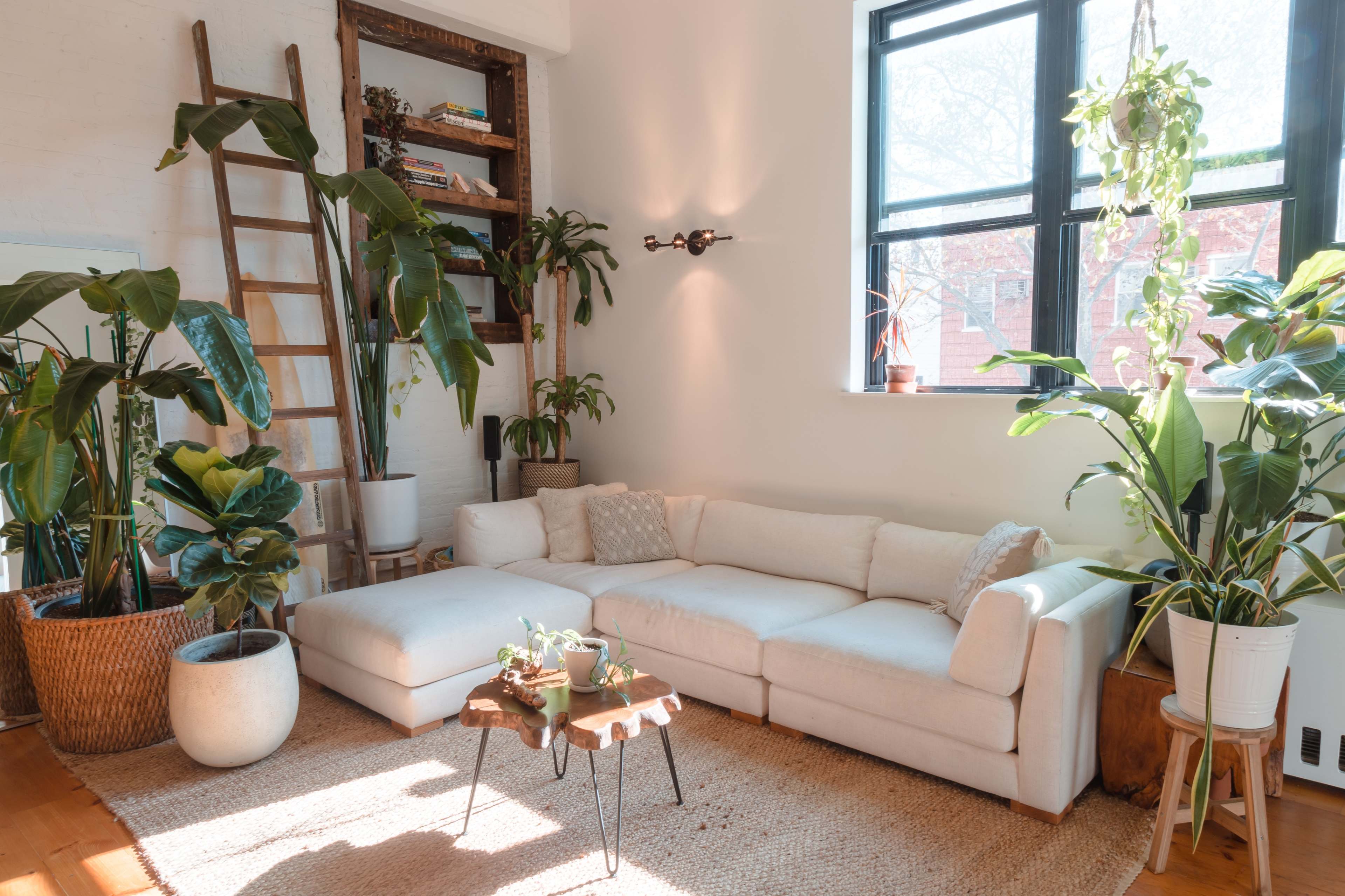 A bright living room features a white sectional sofa, various indoor plants, a ladder shelf, and a coffee table with small plants on a woven rug.