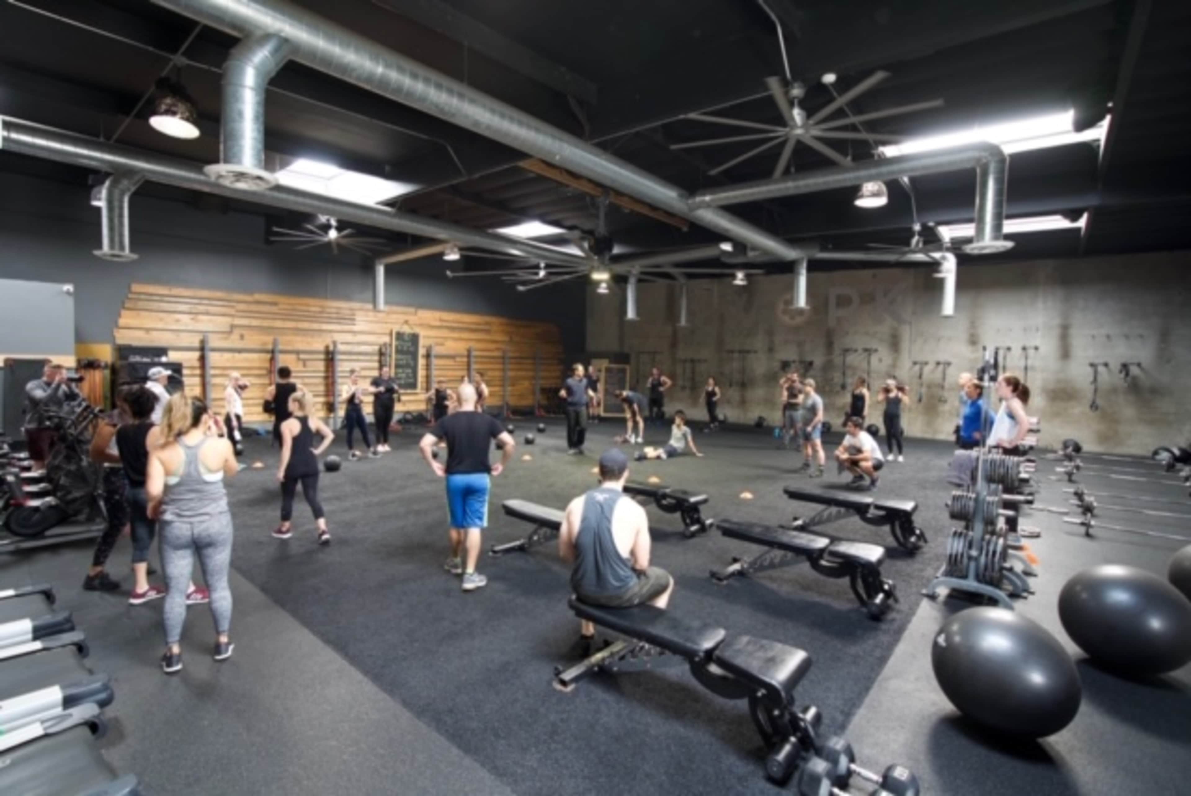 A crowded gym interior features numerous individuals engaged in various exercises, with weights and workout equipment scattered throughout the space.