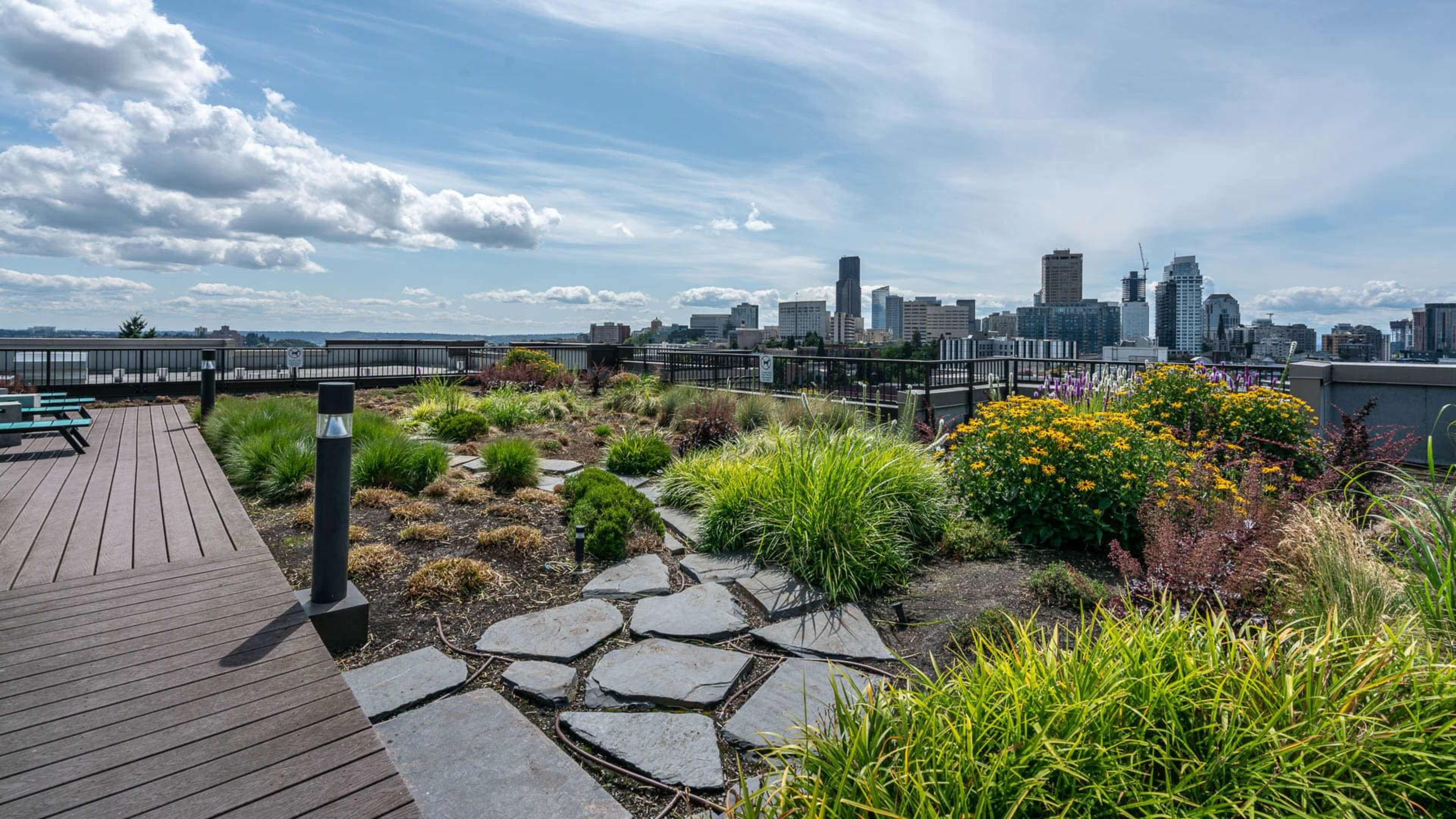 Rooftop Lounge with Sunny Vibes and Capitol (Hill) Views Image in Cherry Hill, Seattle, WA