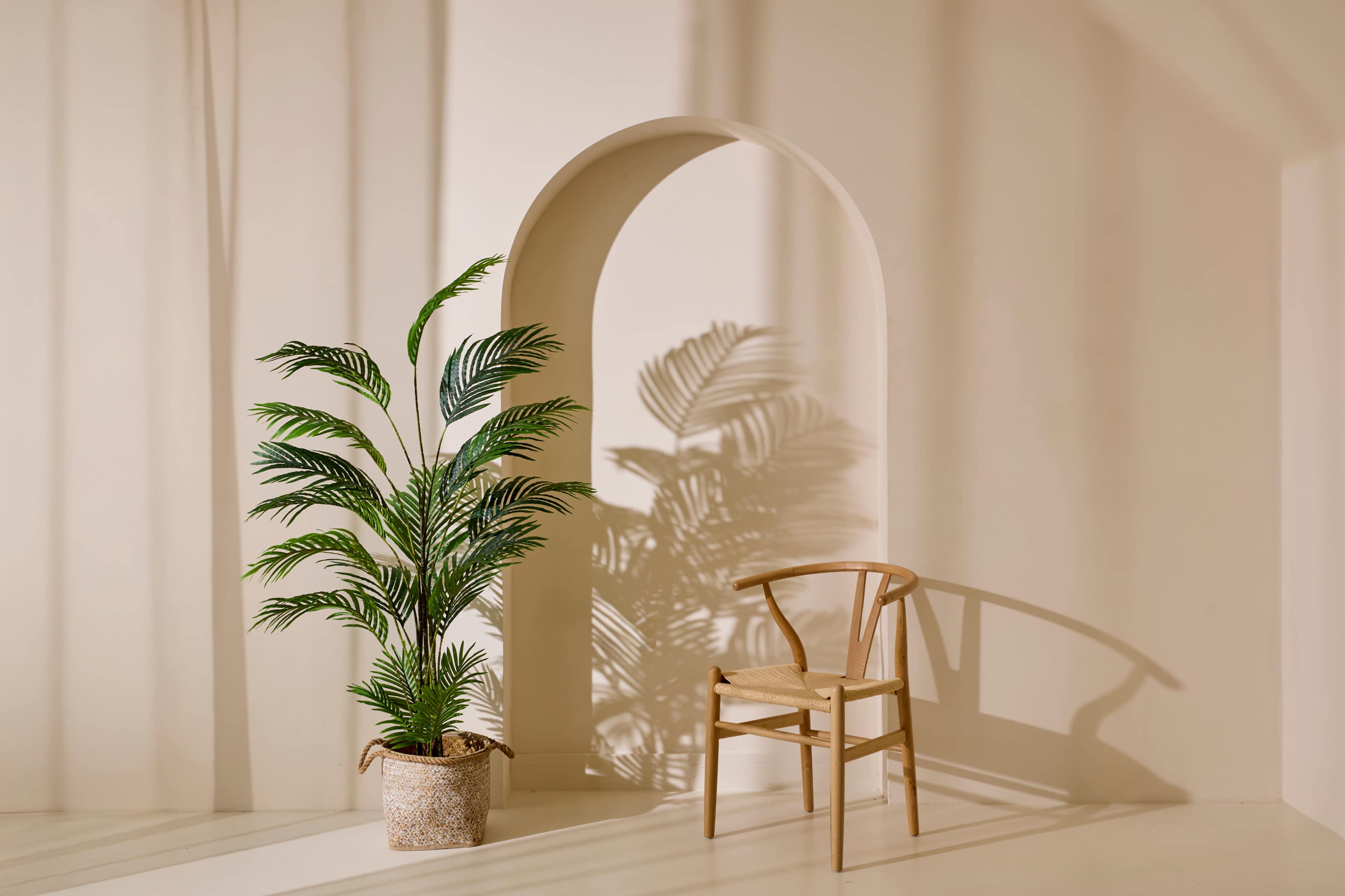 A wooden chair is placed next to a potted plant against a softly lit, neutral-colored wall with a curved arch.