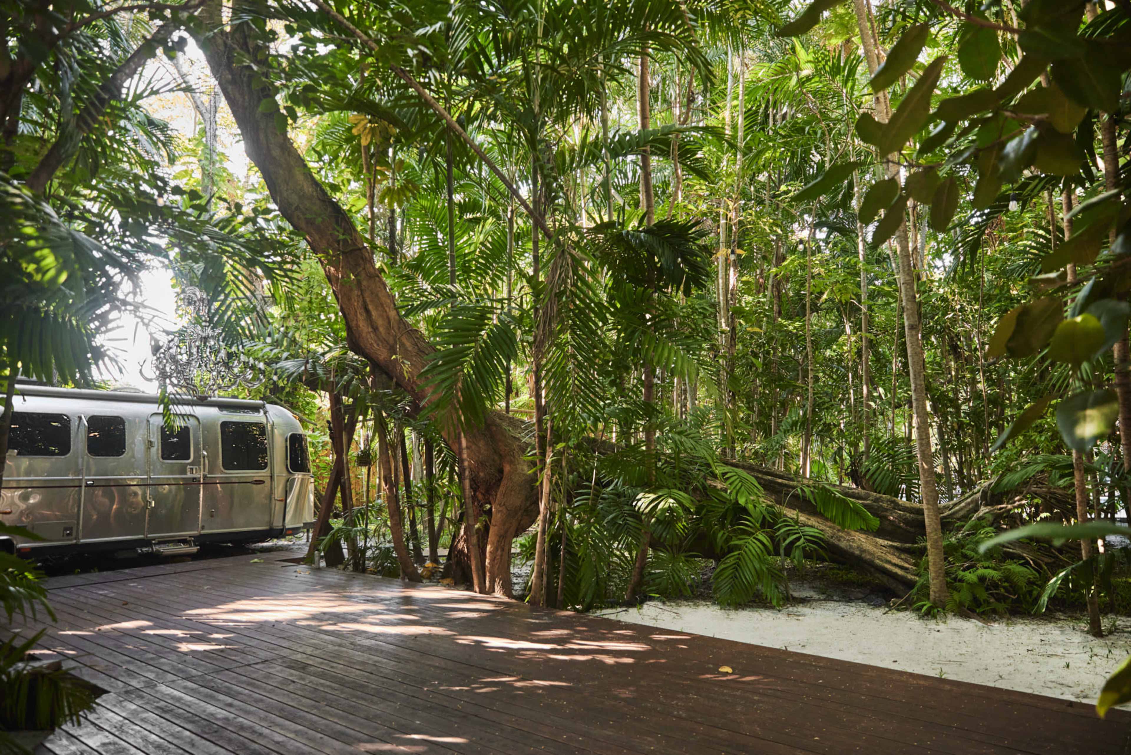 An Airstream trailer is parked on a wooden deck surrounded by dense tropical foliage.