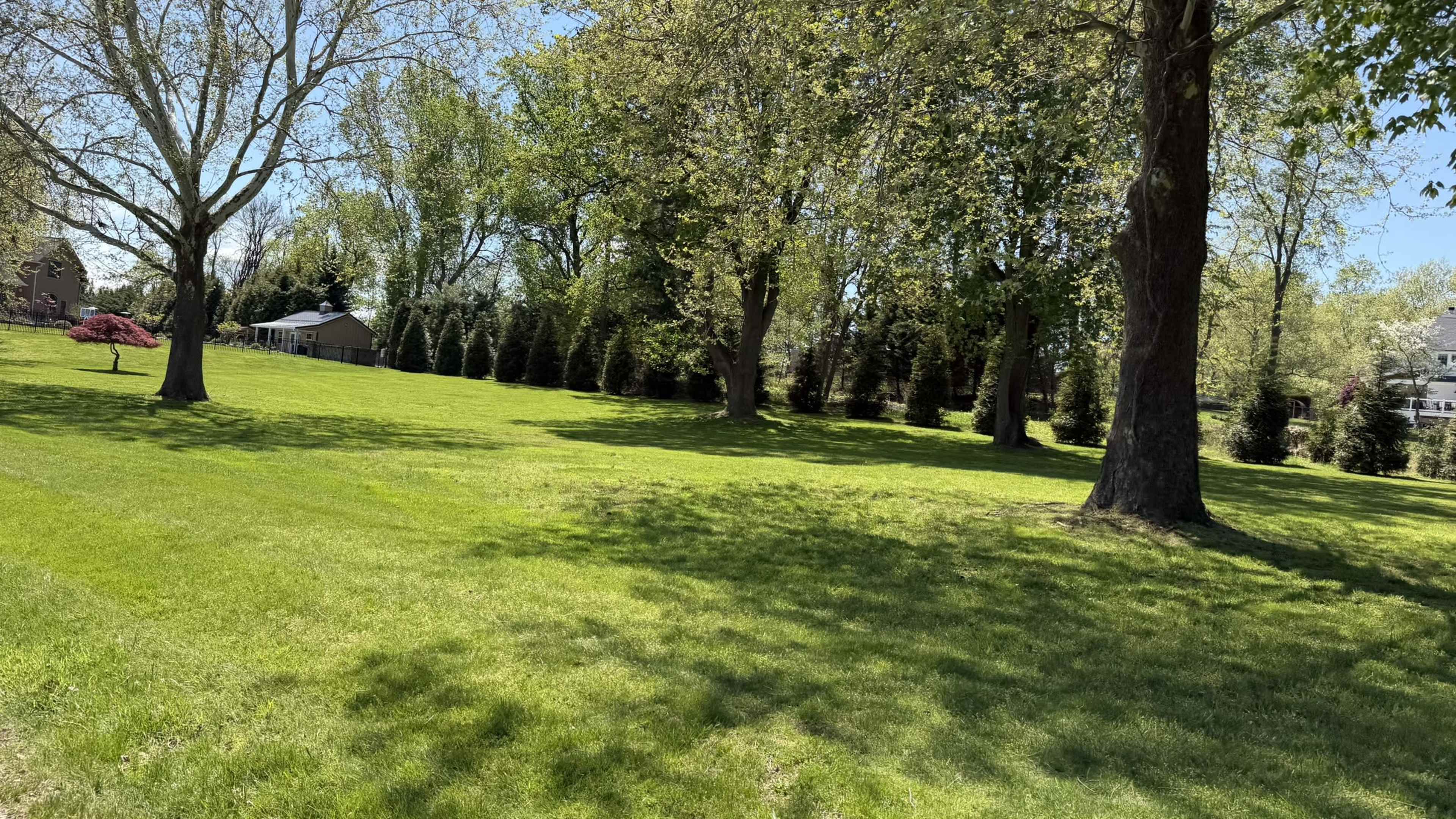 The image shows a grassy area with several large trees, a clear blue sky, and a house at the edge of the property.