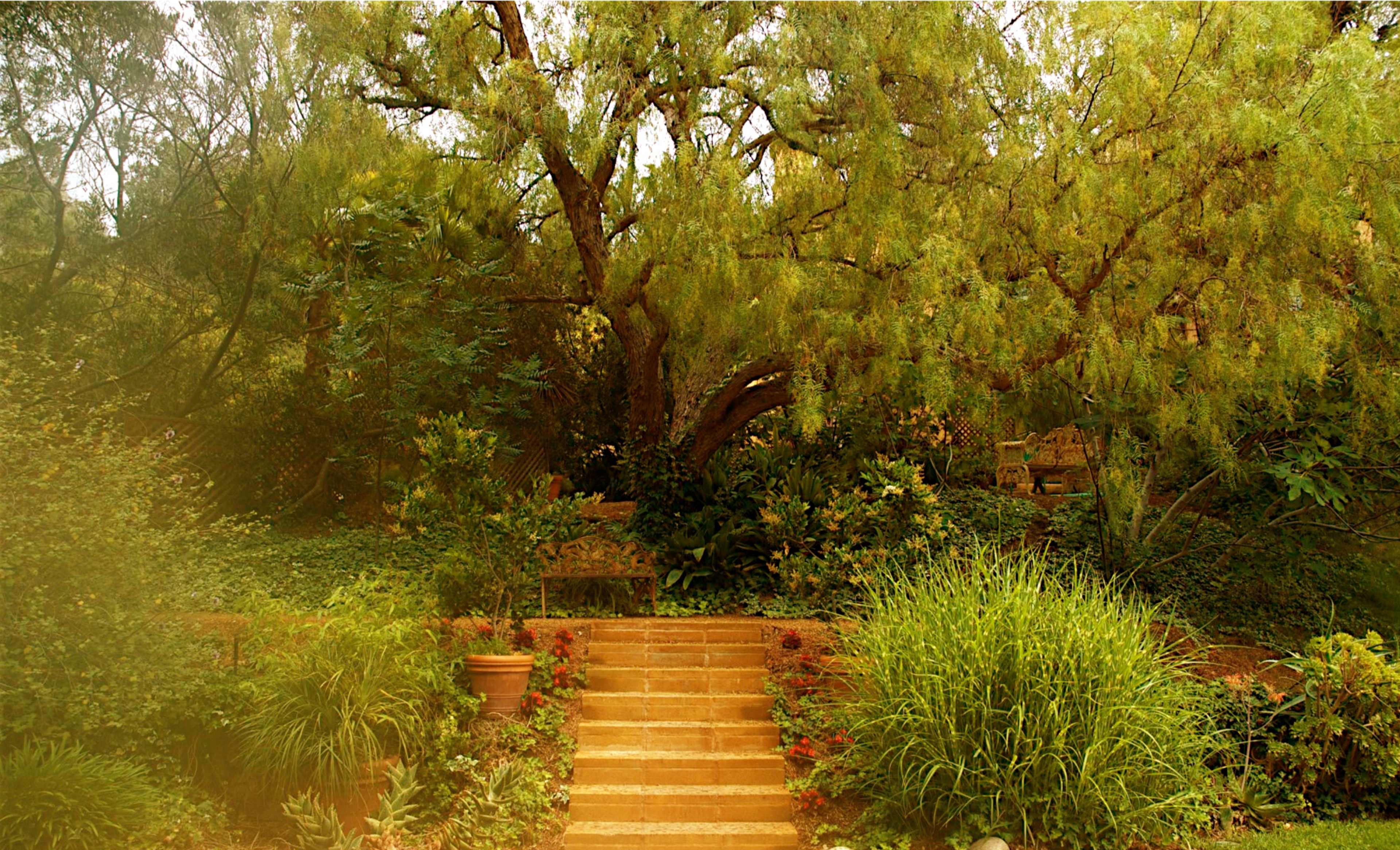 A staircase leads up through lush greenery to a shaded area with a bench beneath a large tree.