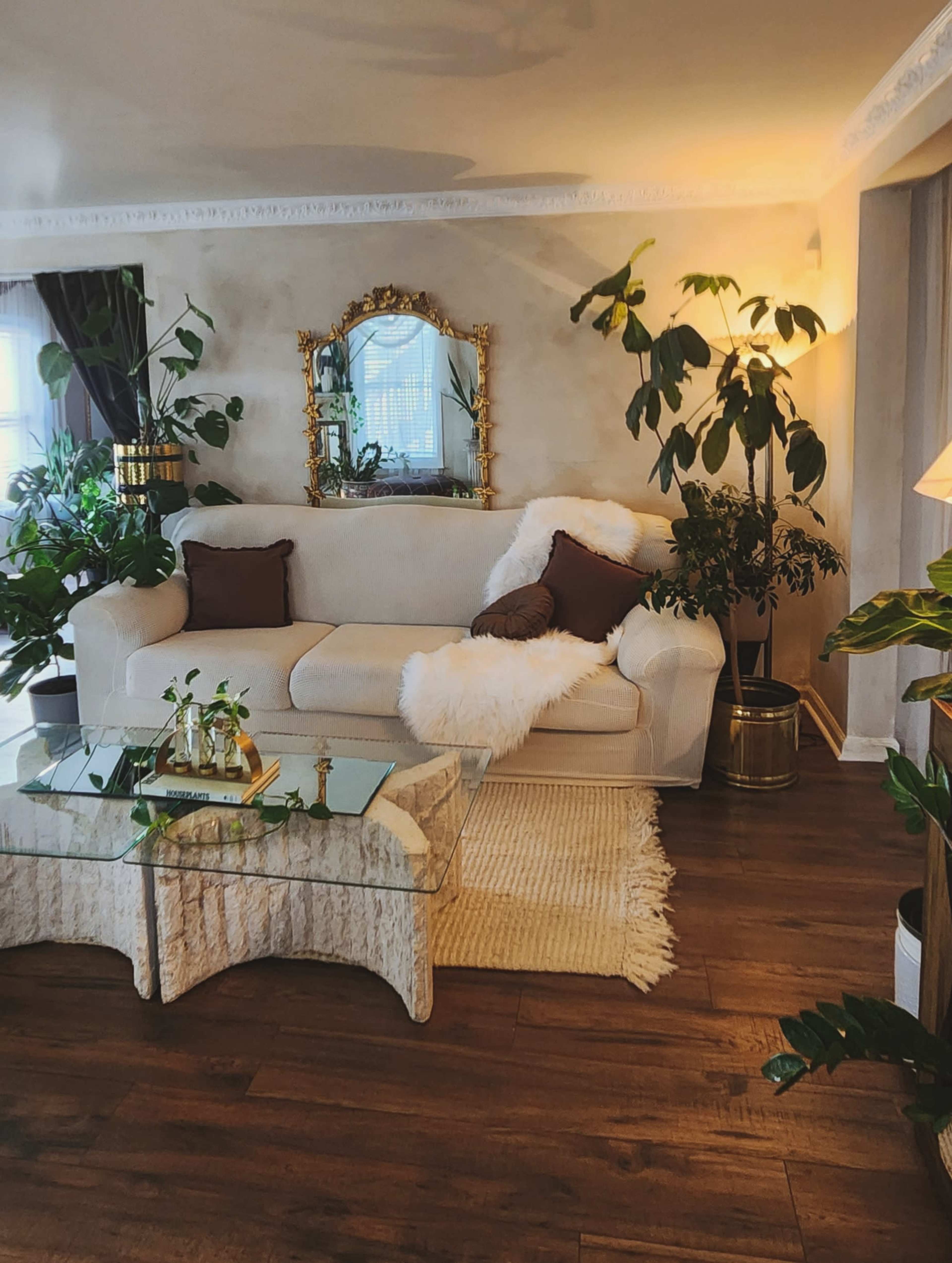 The image shows a living room with a white sofa adorned with pillows, a glass coffee table on a textured rug, and various potted plants surrounding the area.