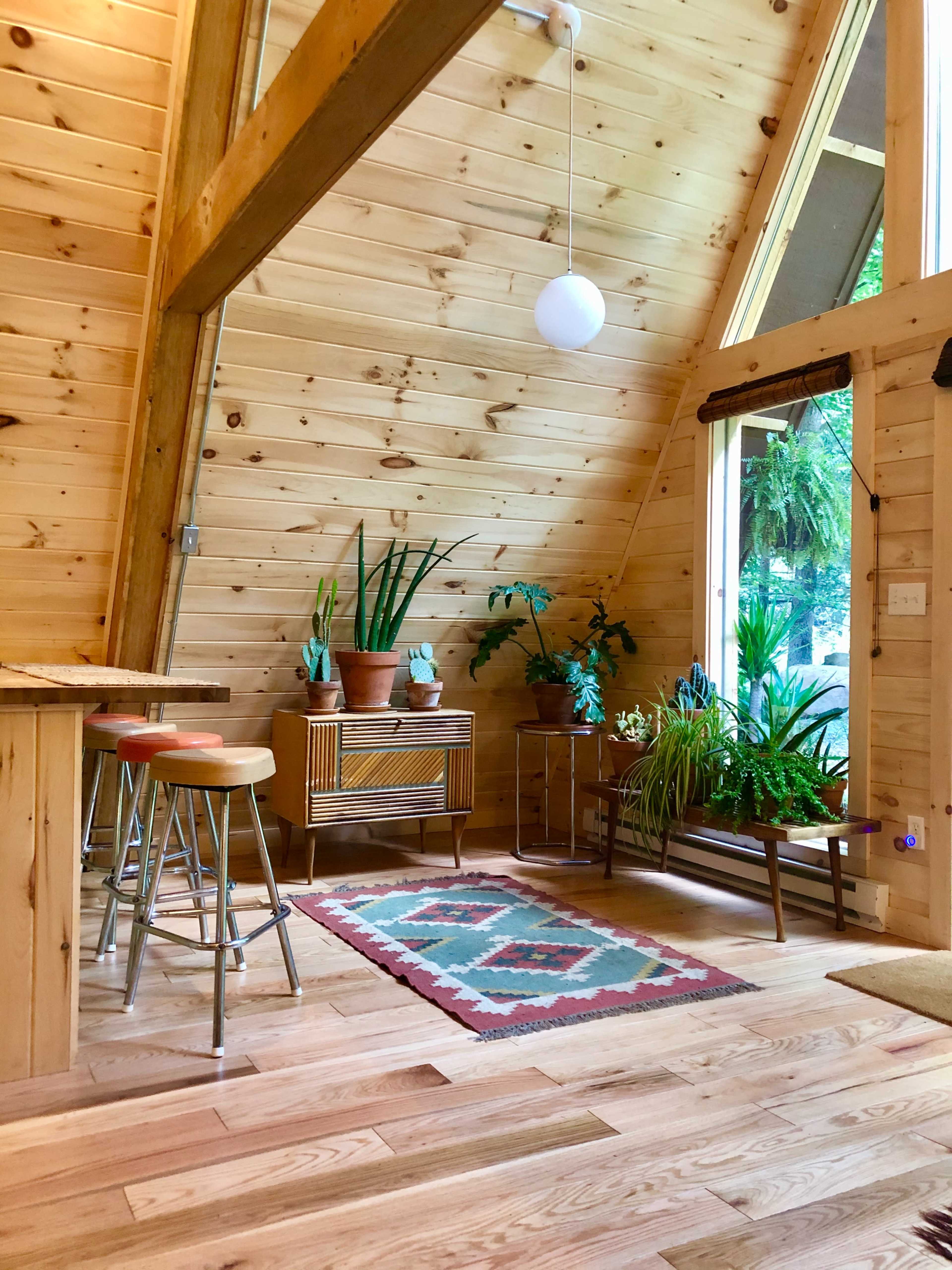 The image shows a cozy interior of a wooden cabin with large windows, showcasing various indoor plants and a patterned rug on a wooden floor.
