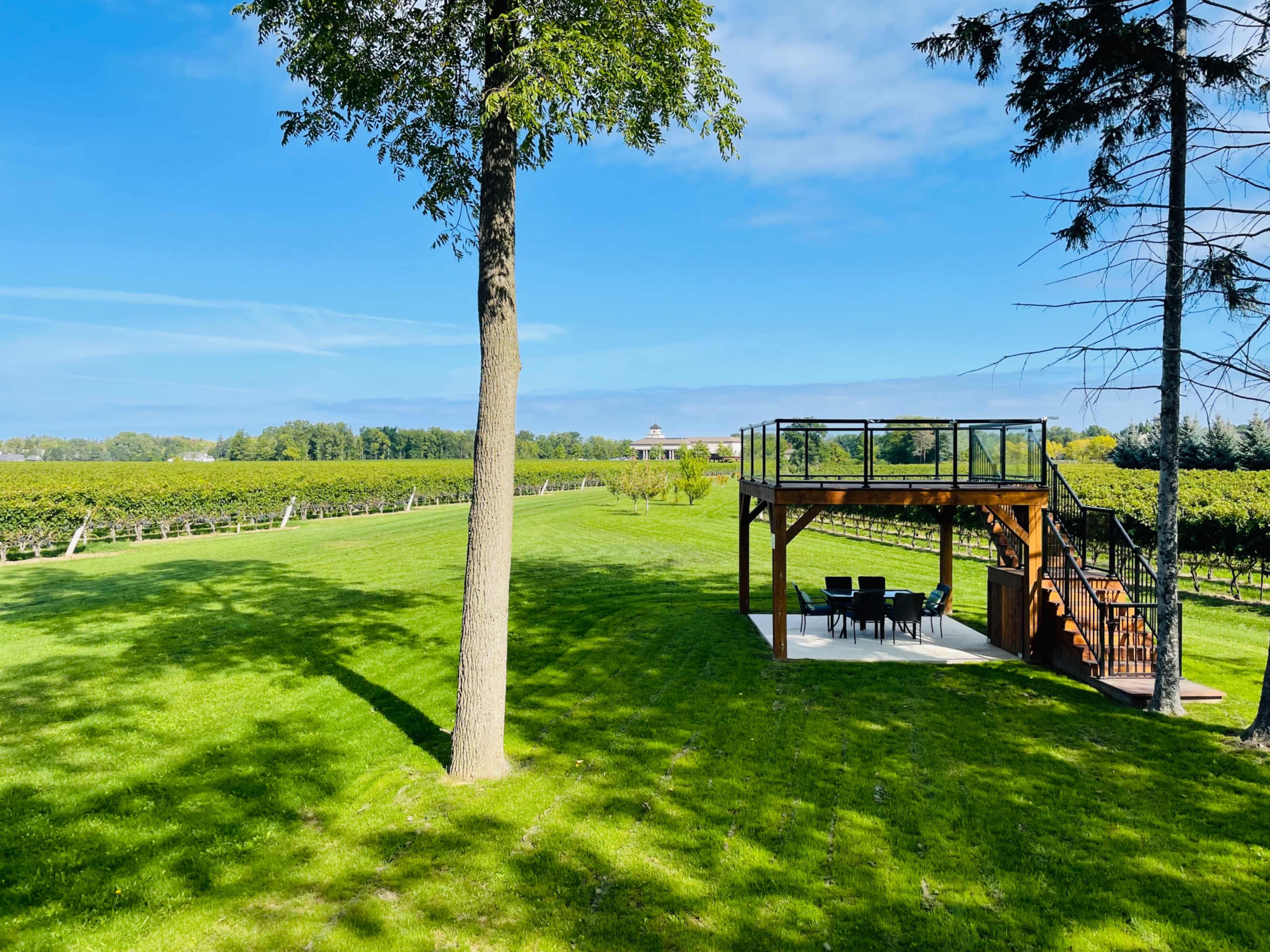 A grassy area with a wooden deck overlooking a vineyard under a clear blue sky.