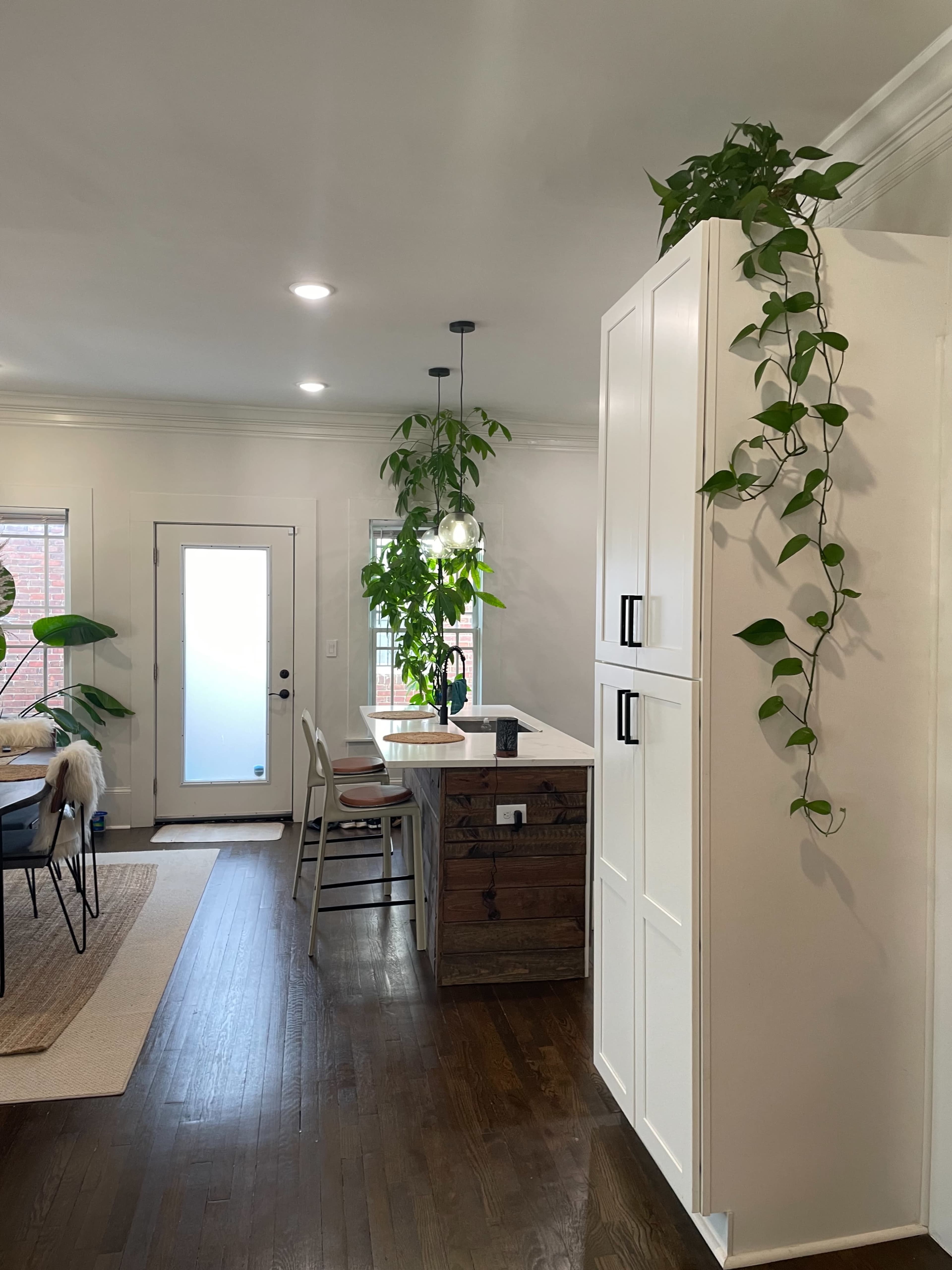 The image shows a modern kitchen with white cabinetry, a wooden island, indoor plants, and a door leading outside.