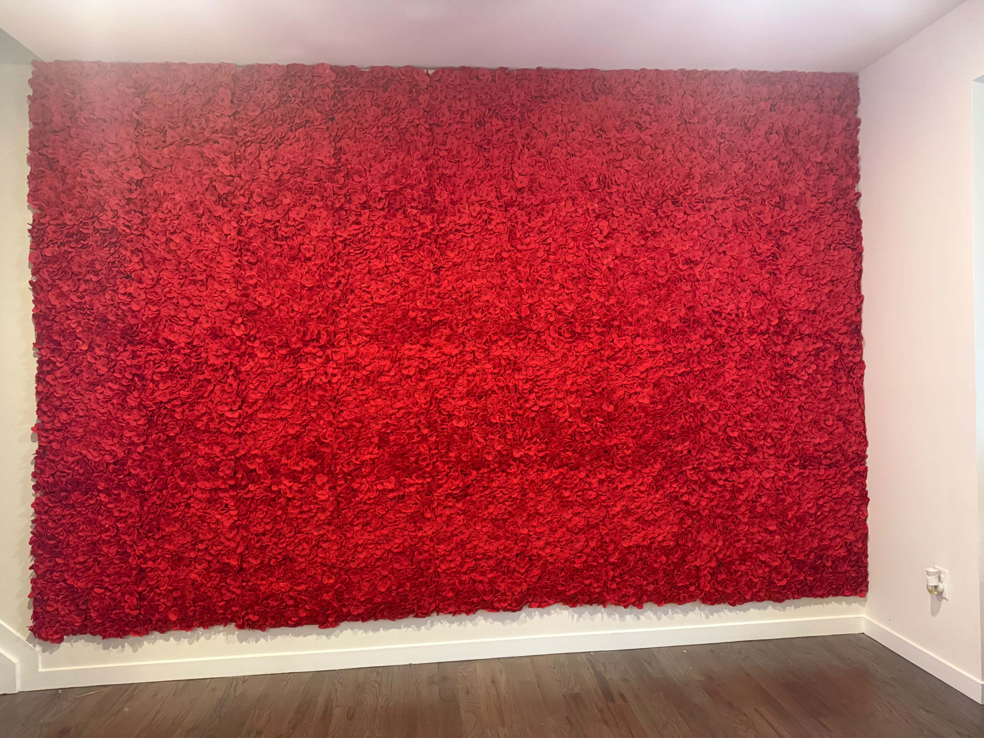 The image shows a large wall covered with a dense texture of vibrant red material.