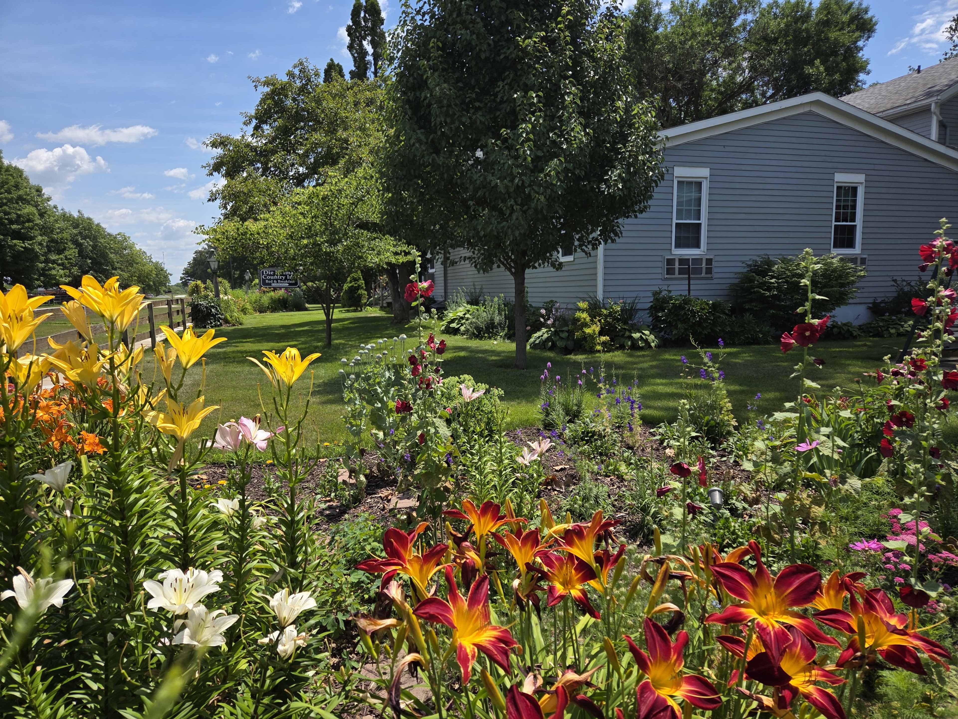 A colorful flower garden featuring lilies and roses is situated in front of a gray house under a clear blue sky.