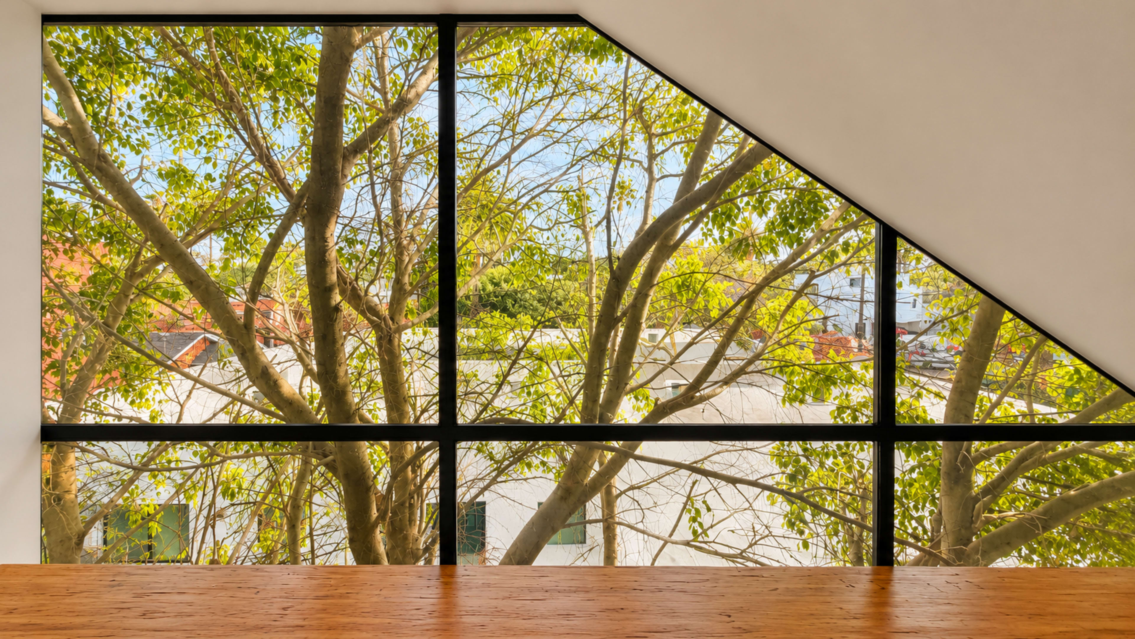 The image shows a large window with a geometric design that frames the view of trees and buildings outside.