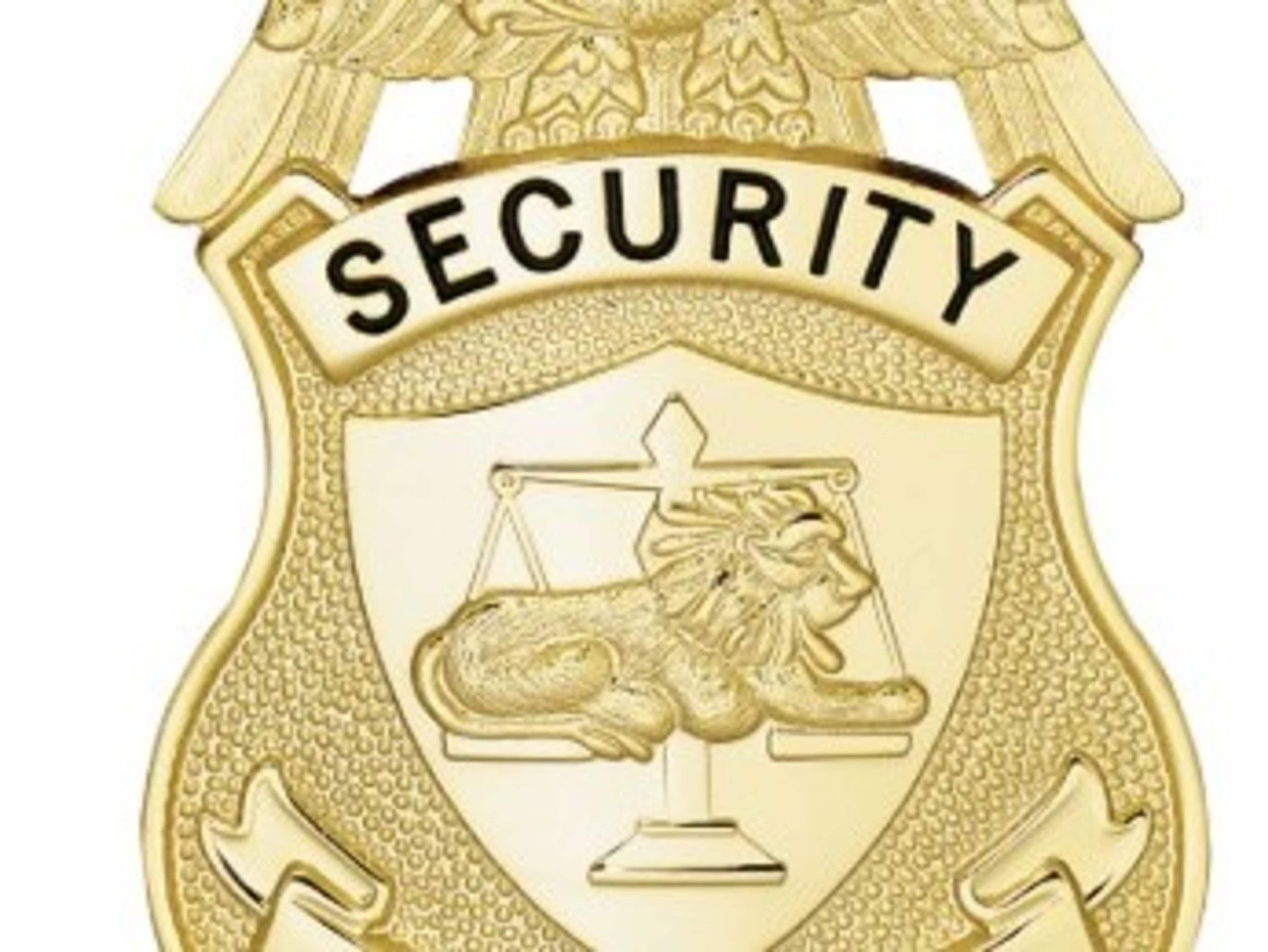 Armed Security