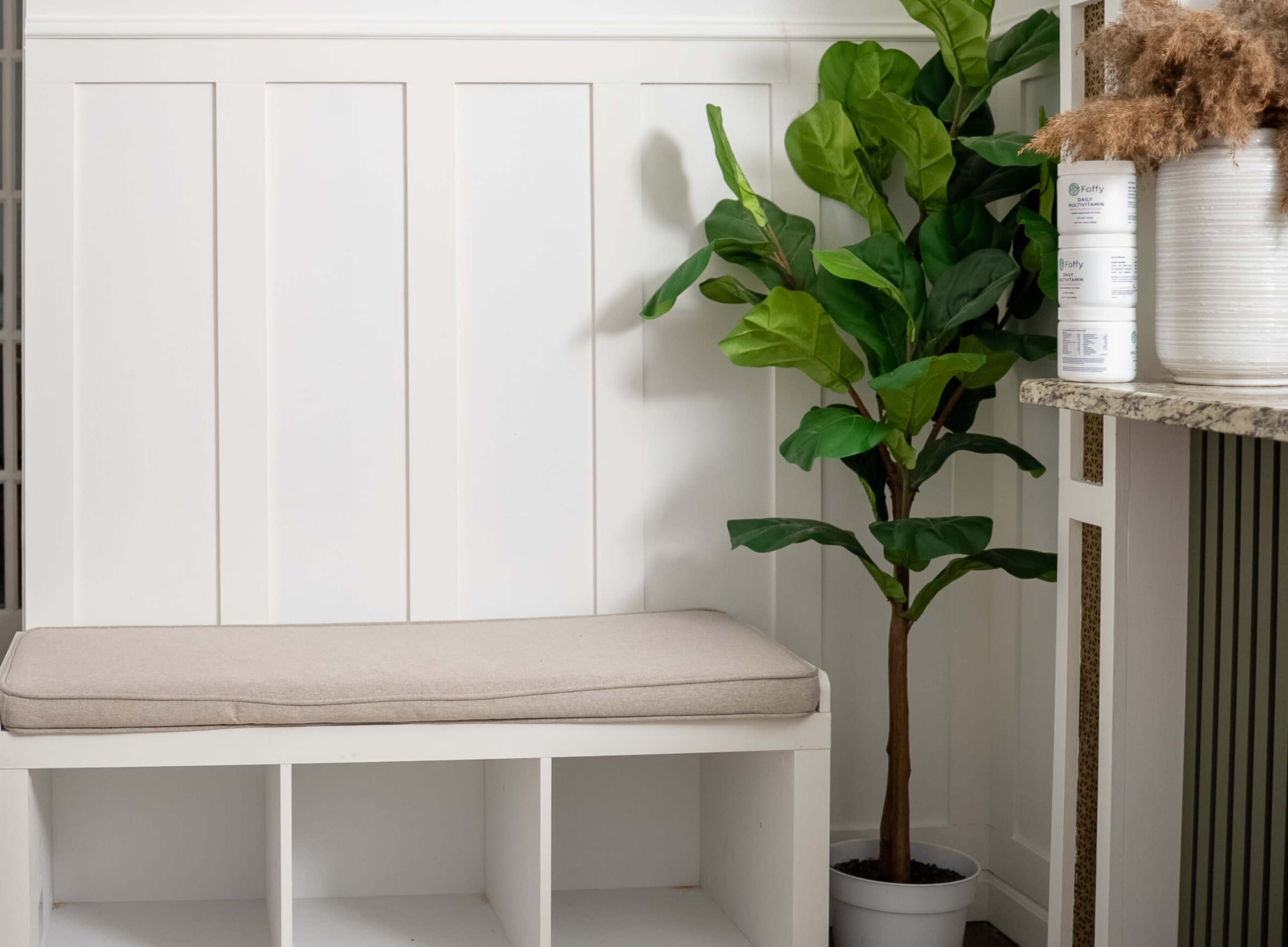 The image shows a white bench with a beige cushion next to a decorative potted fiddle leaf fig plant in a room with a light-colored wall.