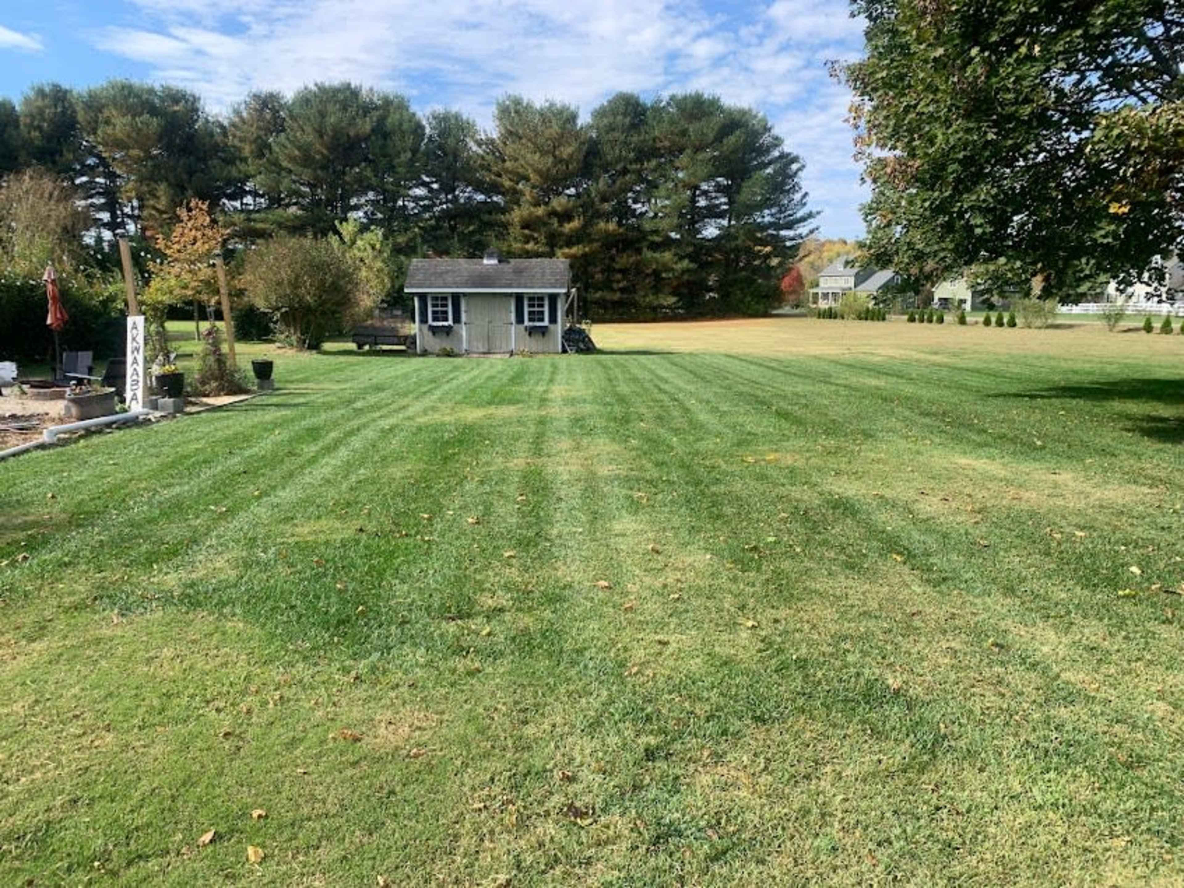 A neatly trimmed lawn stretches toward a small shed surrounded by trees and a distant row of houses.