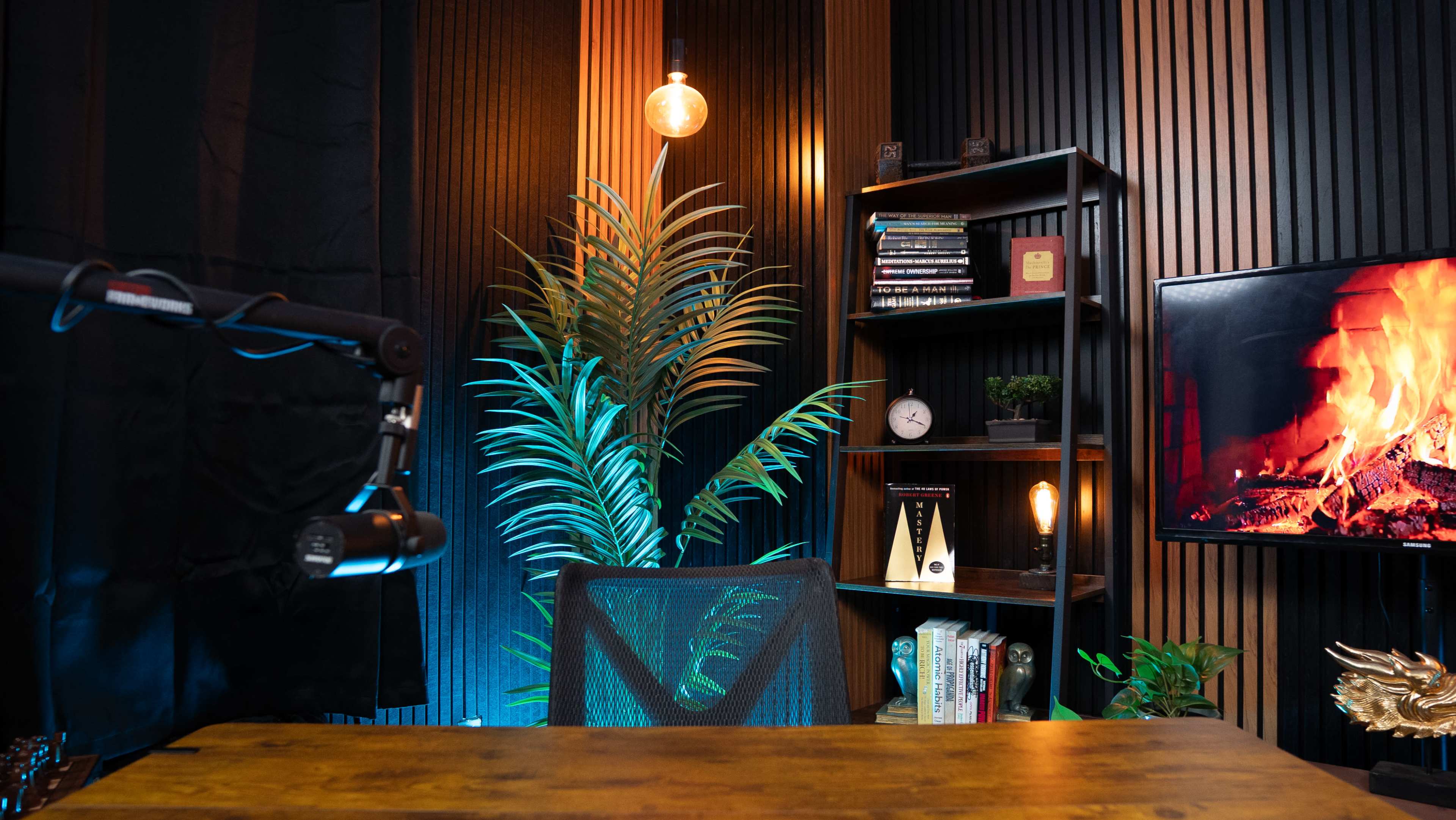A modern workspace features a wooden desk with an office chair, a microphone on an arm, a decorative plant, bookshelves with various items, and a television displaying a fire scene.