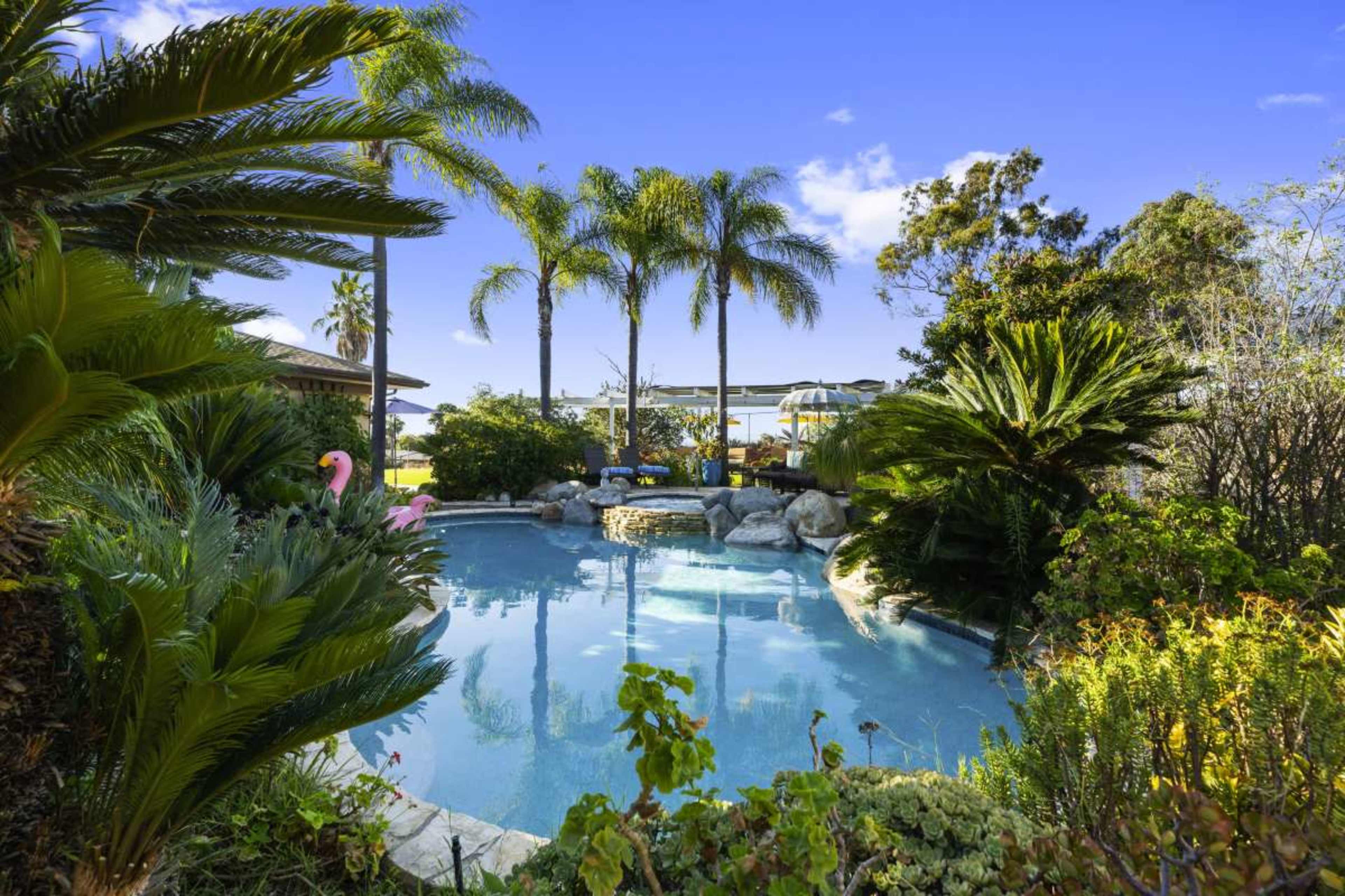 A clear swimming pool is surrounded by palm trees and lush greenery, with rocks and a seating area visible in the background.