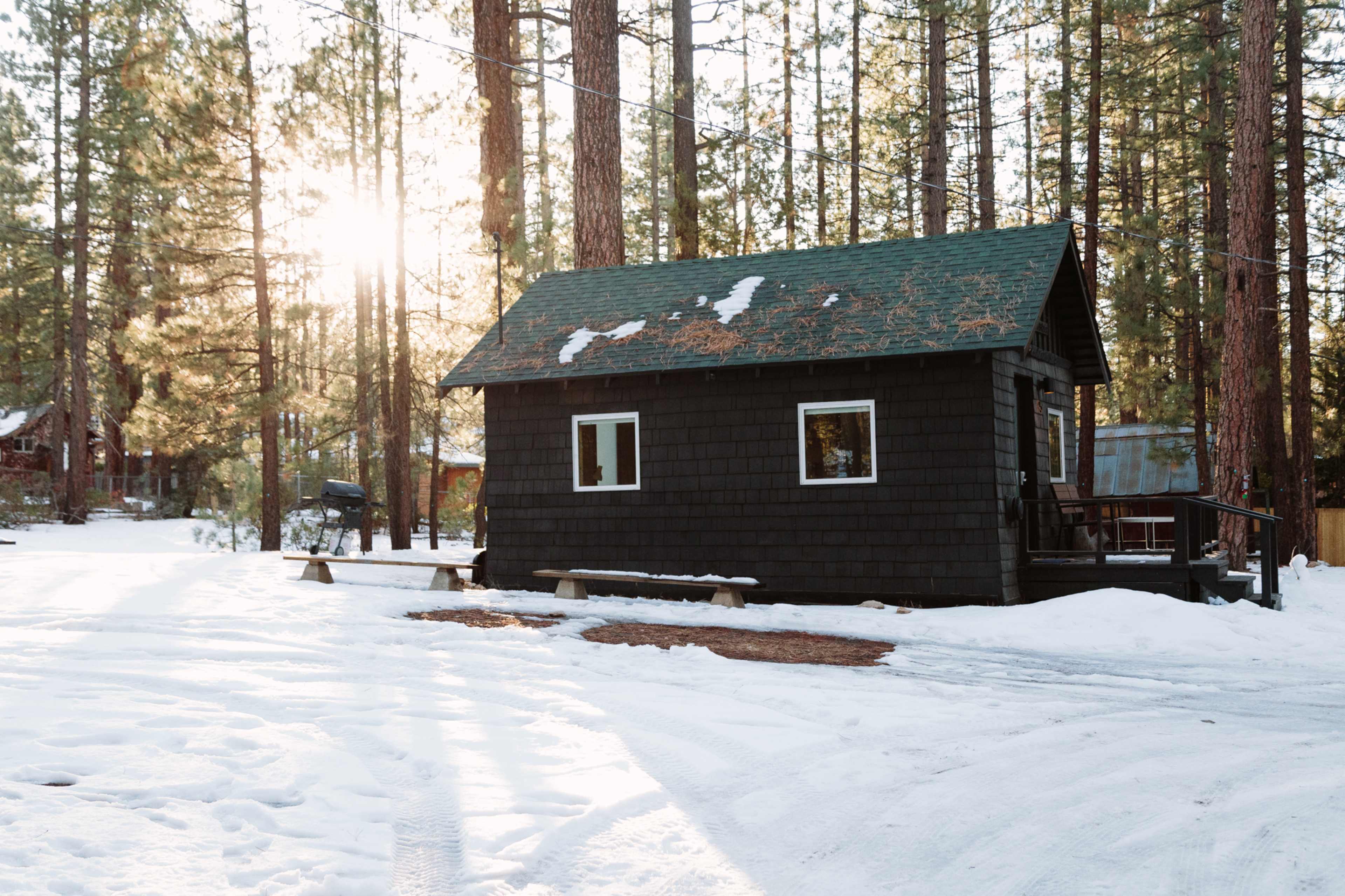 A small, dark-hued cabin is situated among tall pine trees, with snow covering the ground and sunlight filtering through the branches.