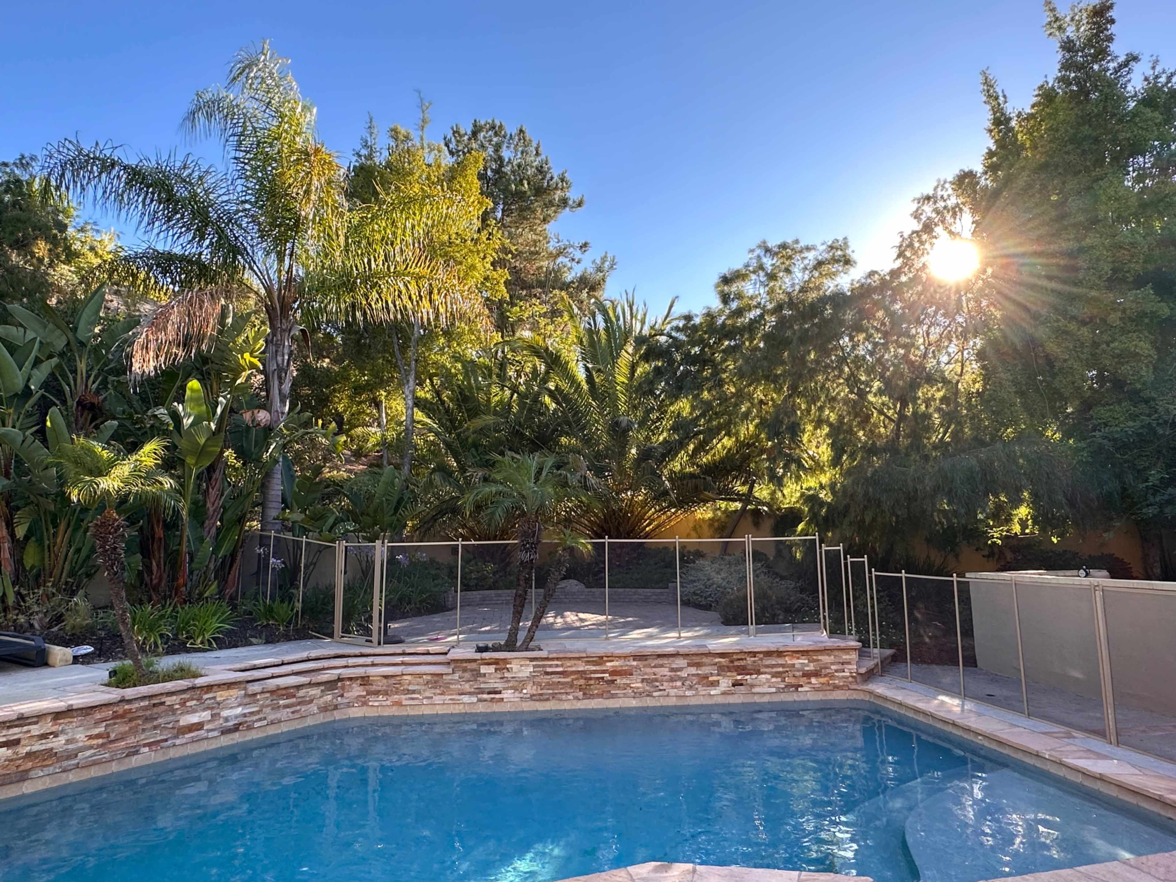 A swimming pool surrounded by palm trees and tropical plants, with a fence and sunlight shining through the foliage.