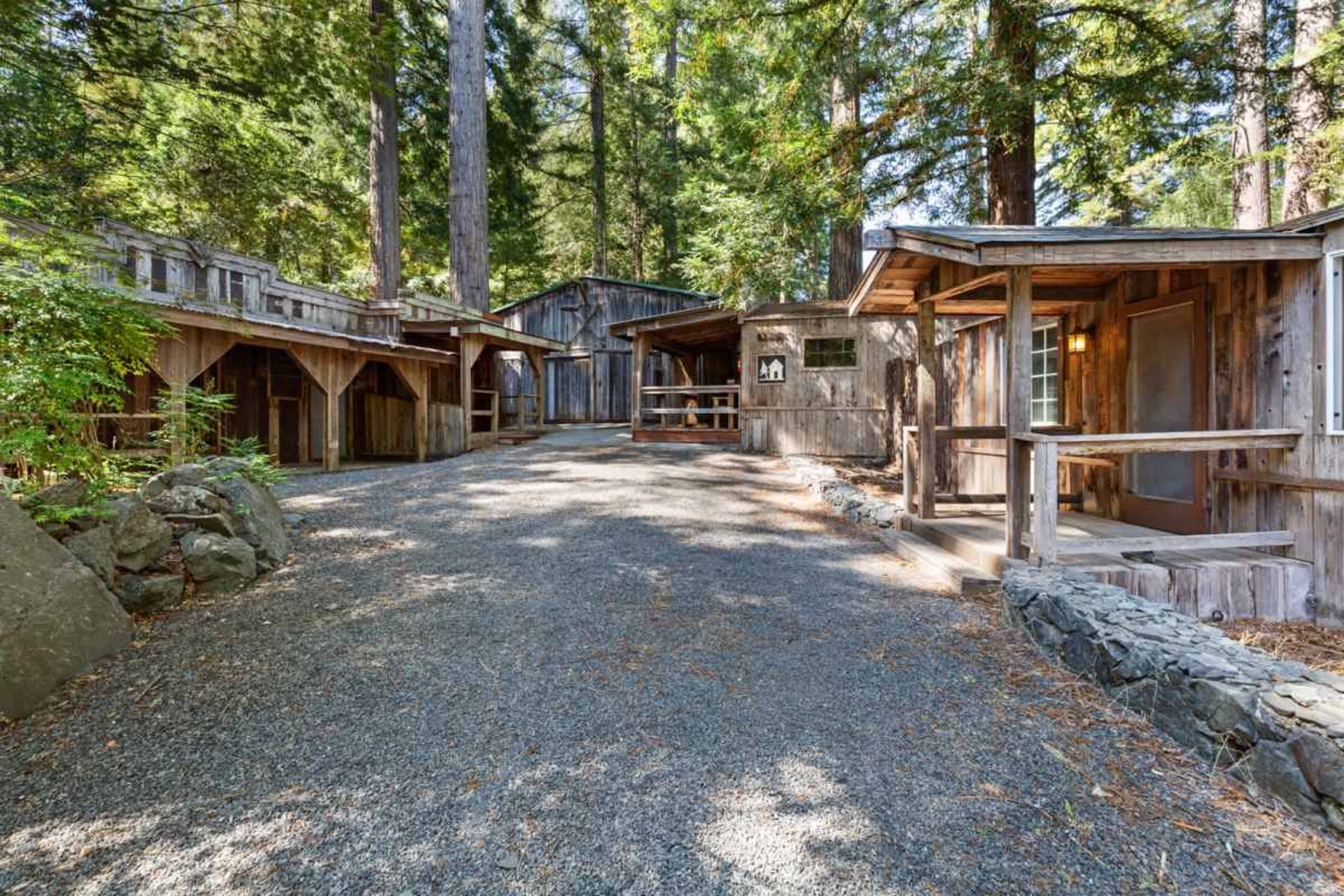 The image shows a gravel pathway leading to a cluster of rustic wooden structures surrounded by tall trees in a forest setting.