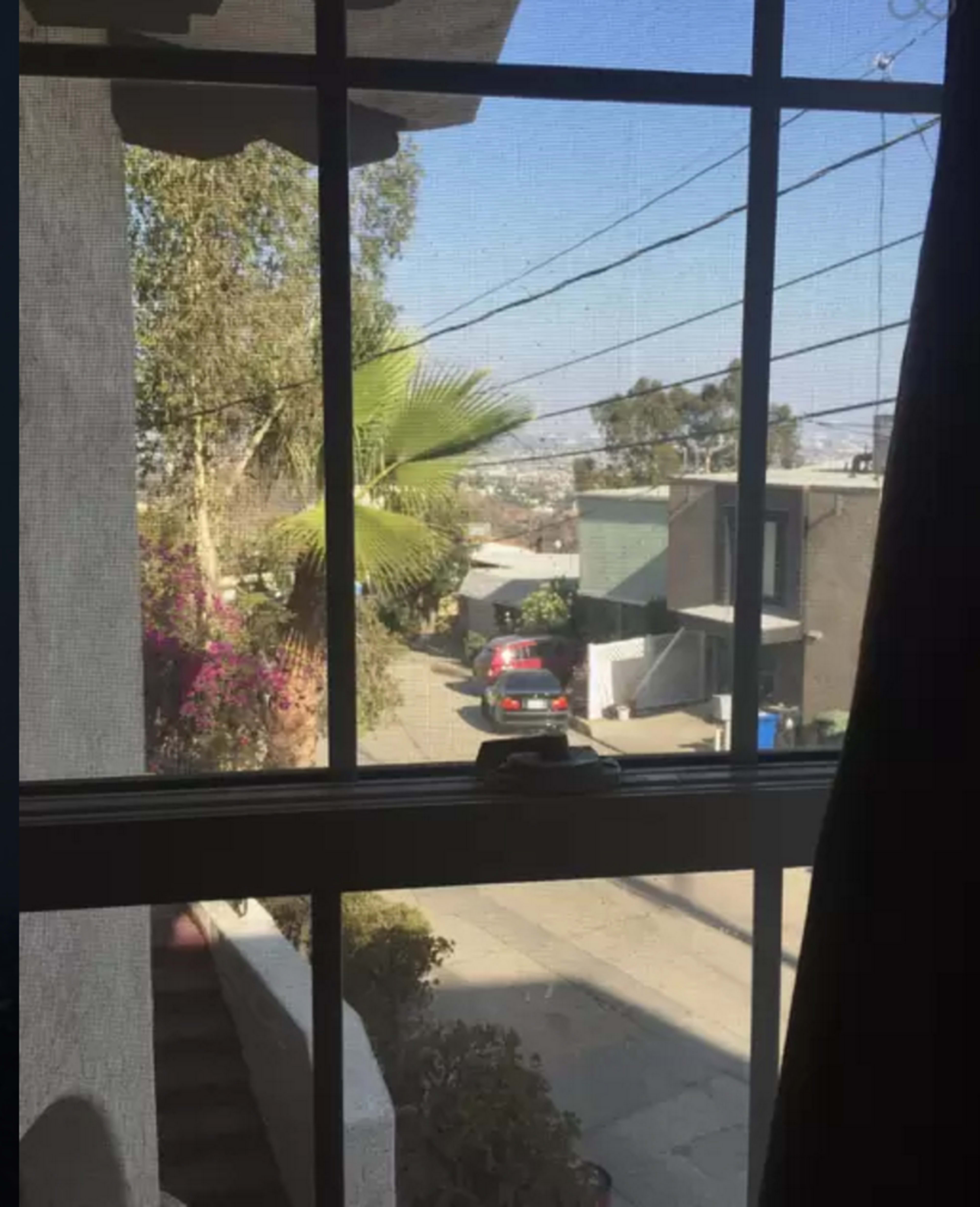 The view through a window shows a palm tree and a red car on a narrow street surrounded by houses in a hilly area.