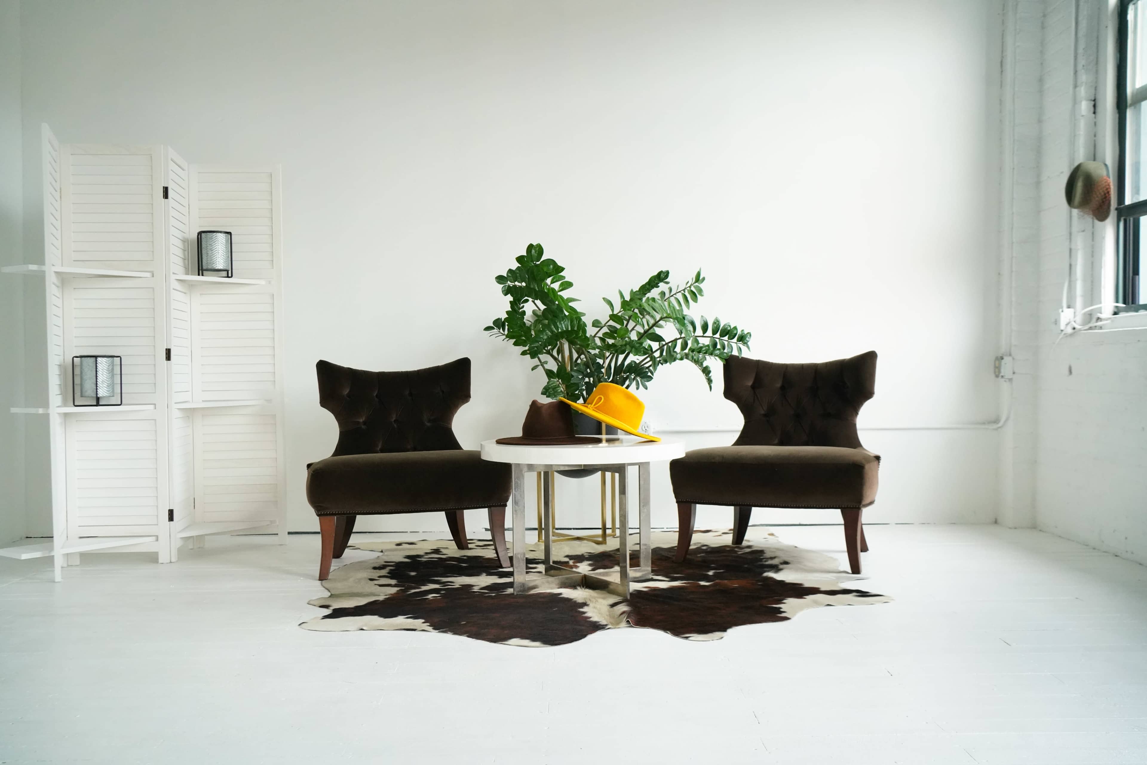 The image shows two upholstered chairs facing a round table on a patterned cowhide rug, with a plant in the center and a decorative yellow hat resting on the table.